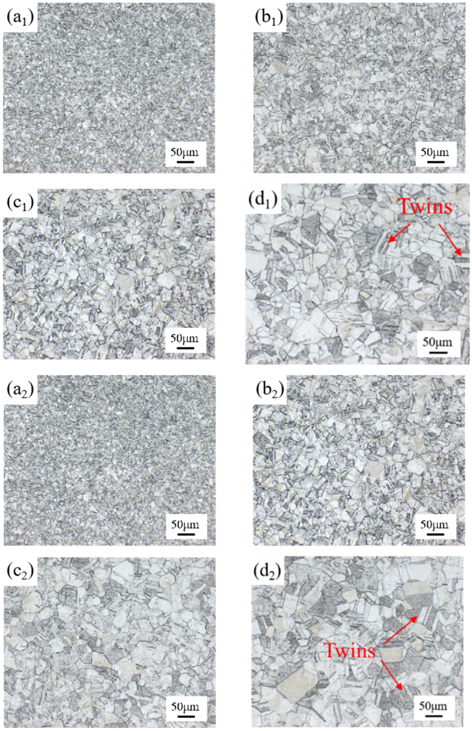 Materials 18 01290 g002