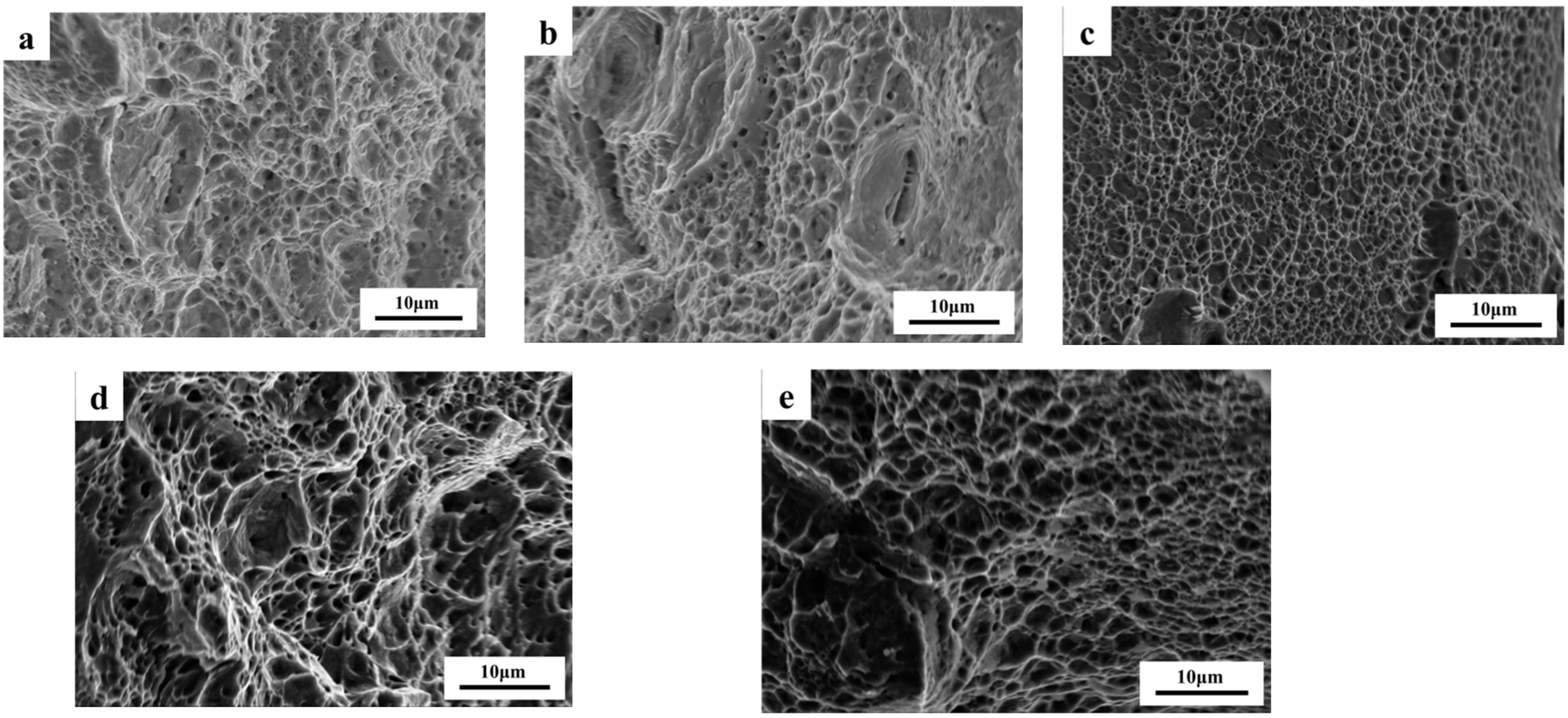 Materials 18 01290 g013