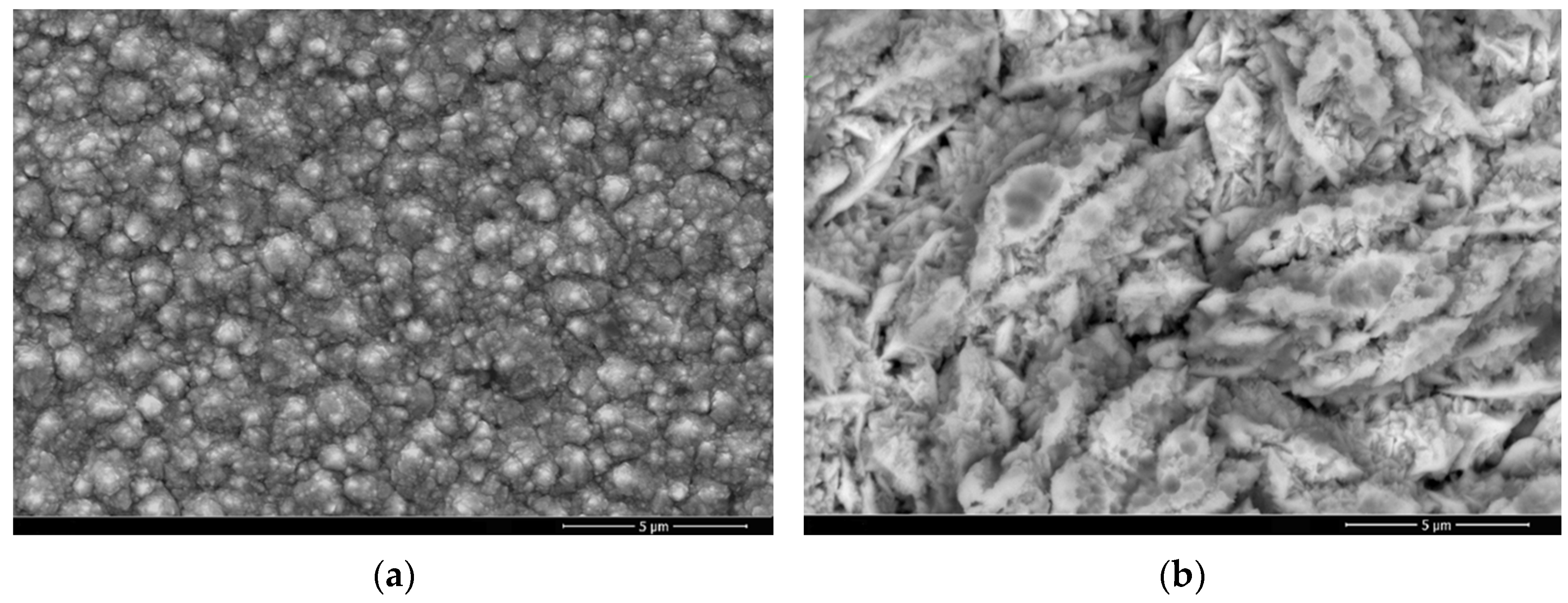 Materials 18 01294 g001