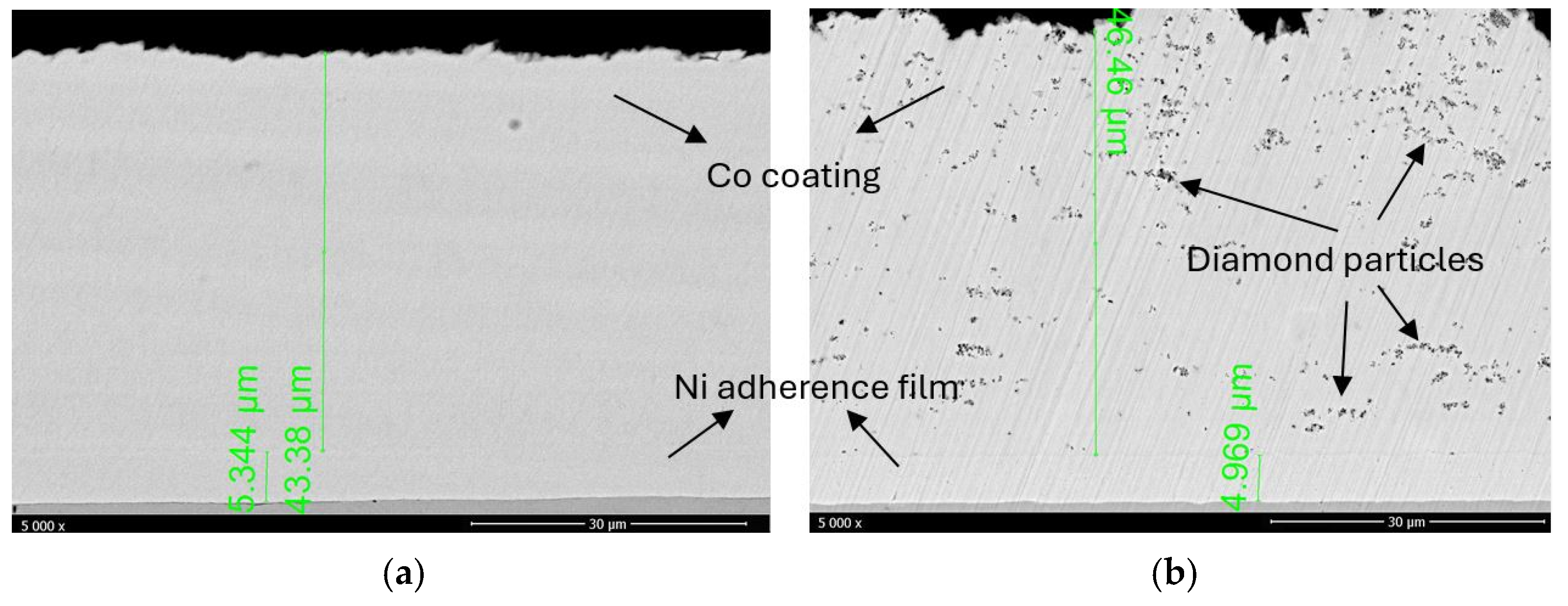 Materials 18 01294 g003