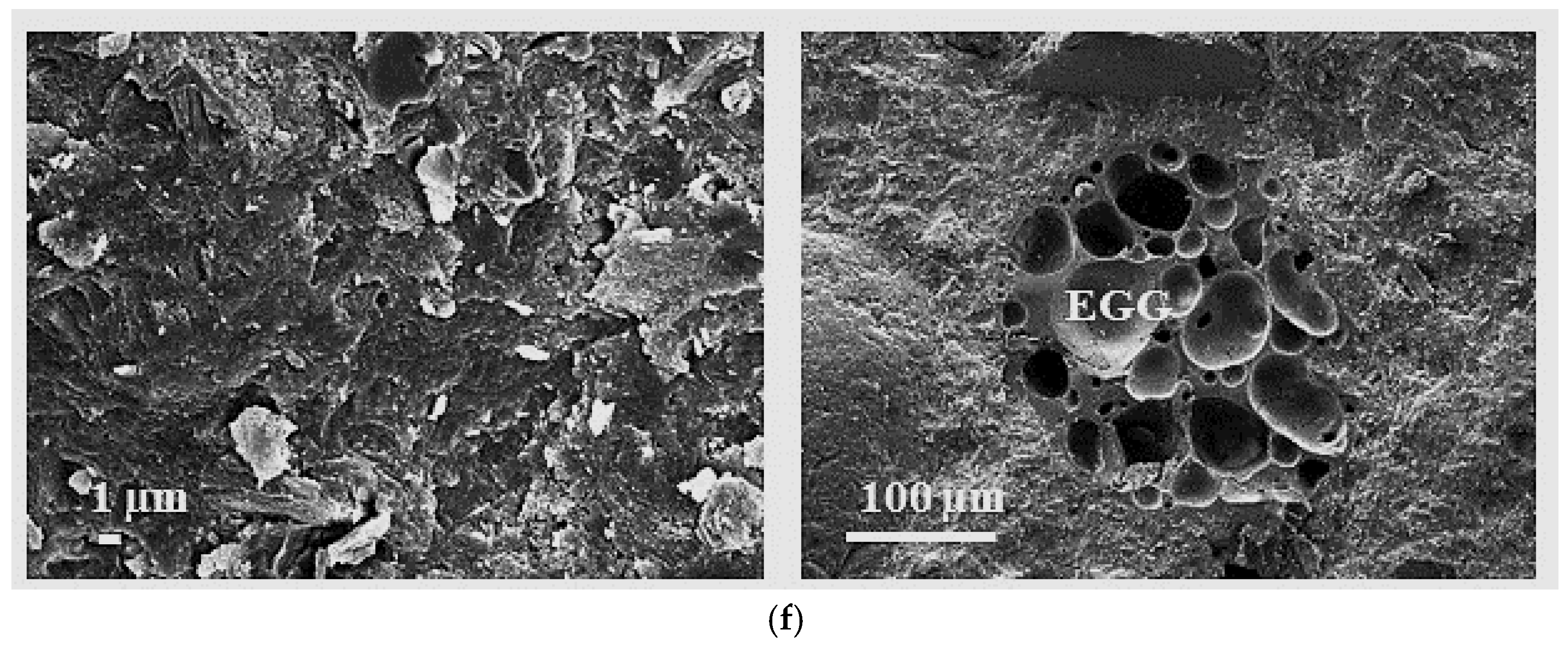 Materials 18 01304 g004c Materials 18 01304 g004c