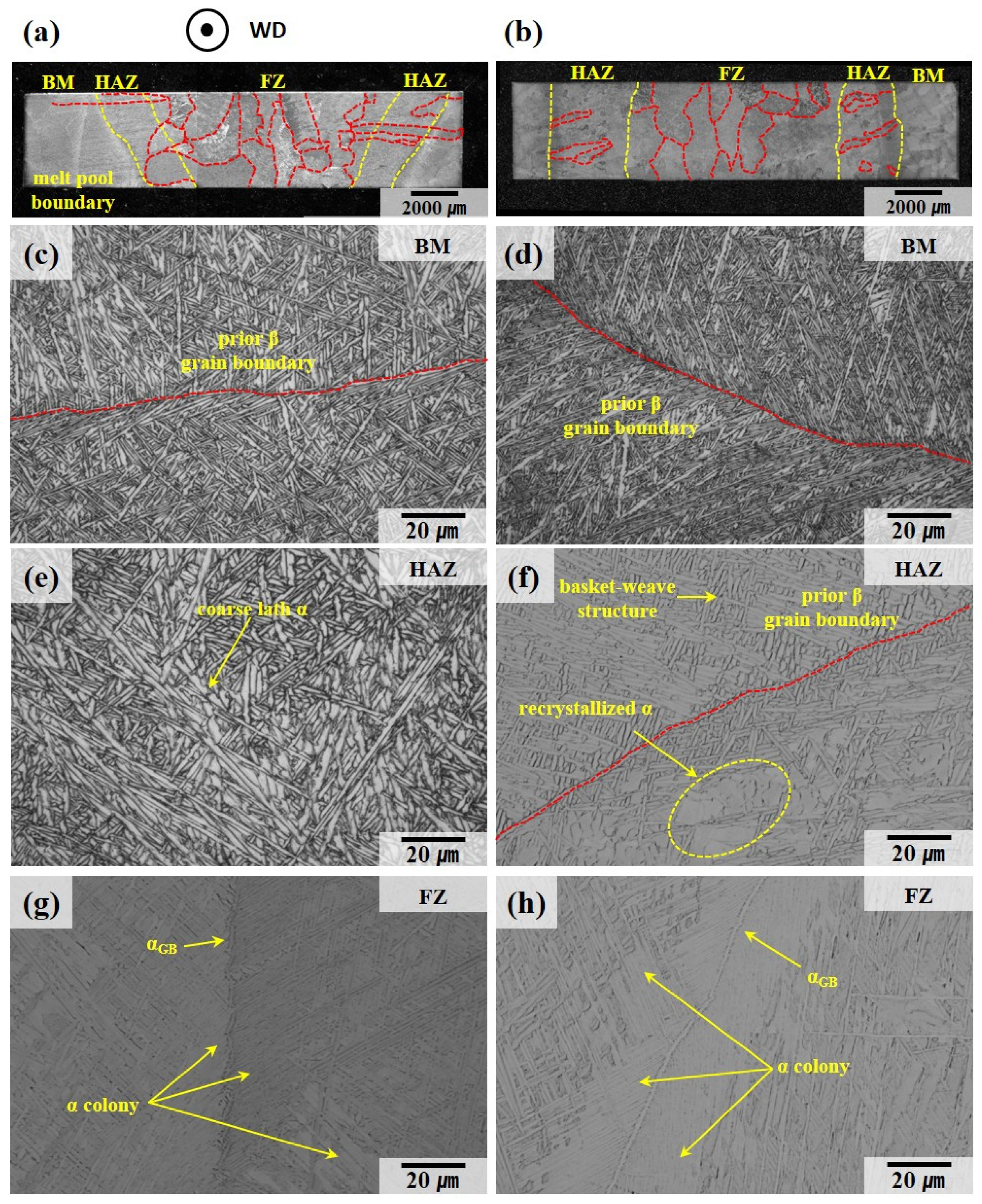 Materials 18 01308 g005