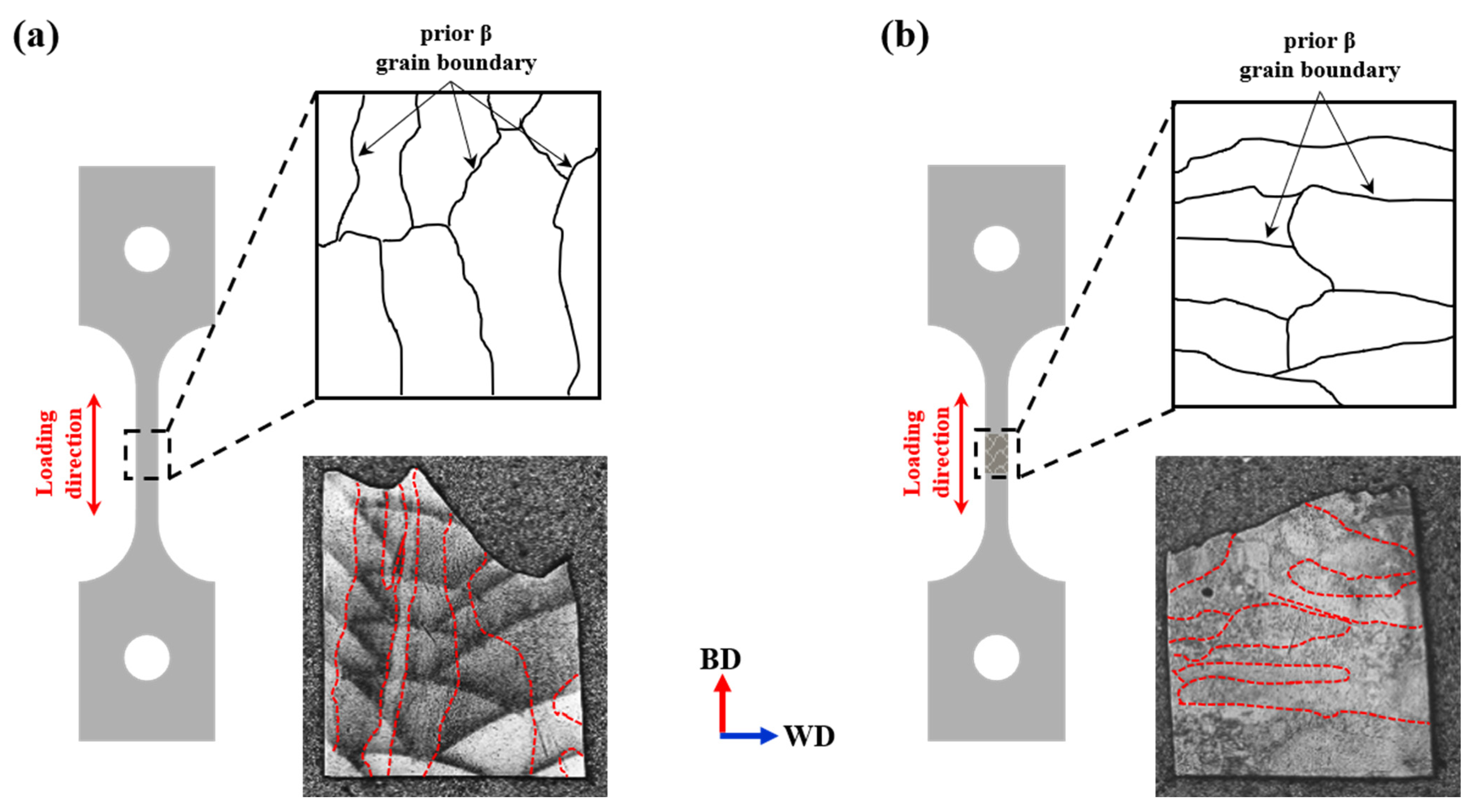 Materials 18 01308 g015