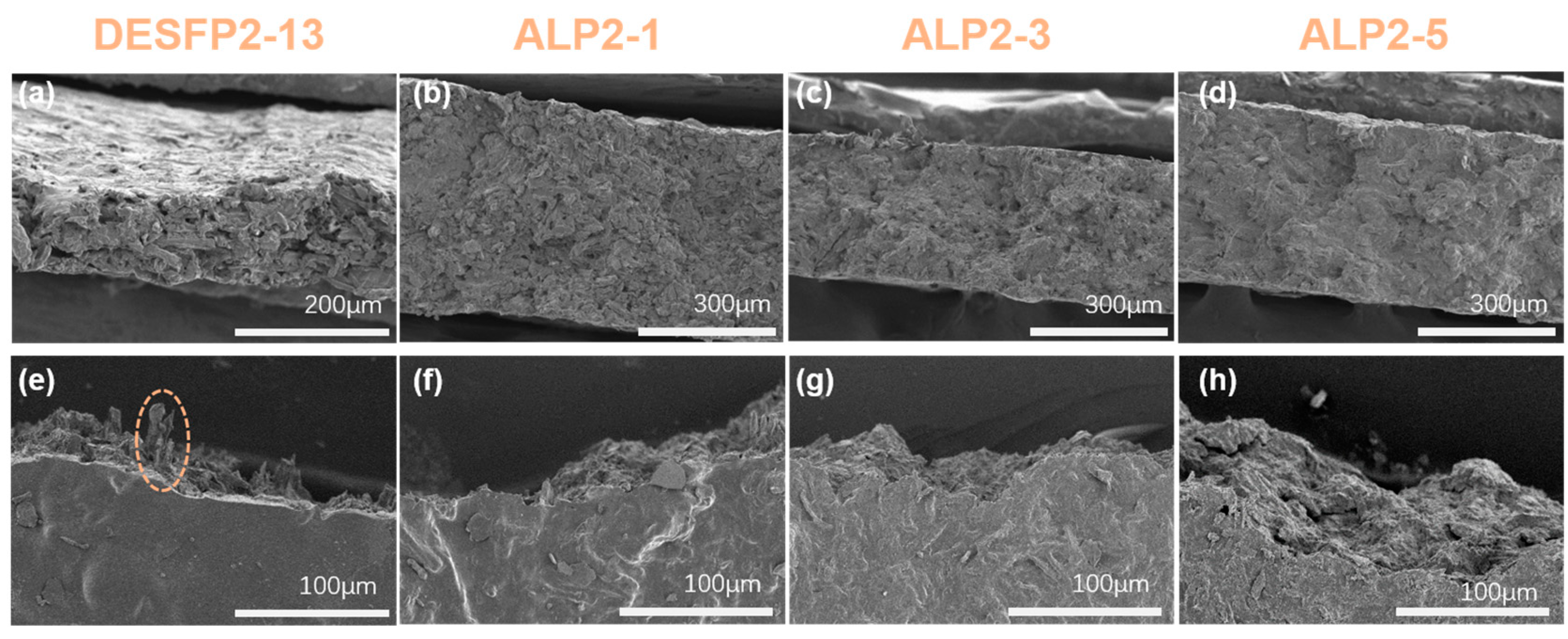 Materials 18 01314 g004