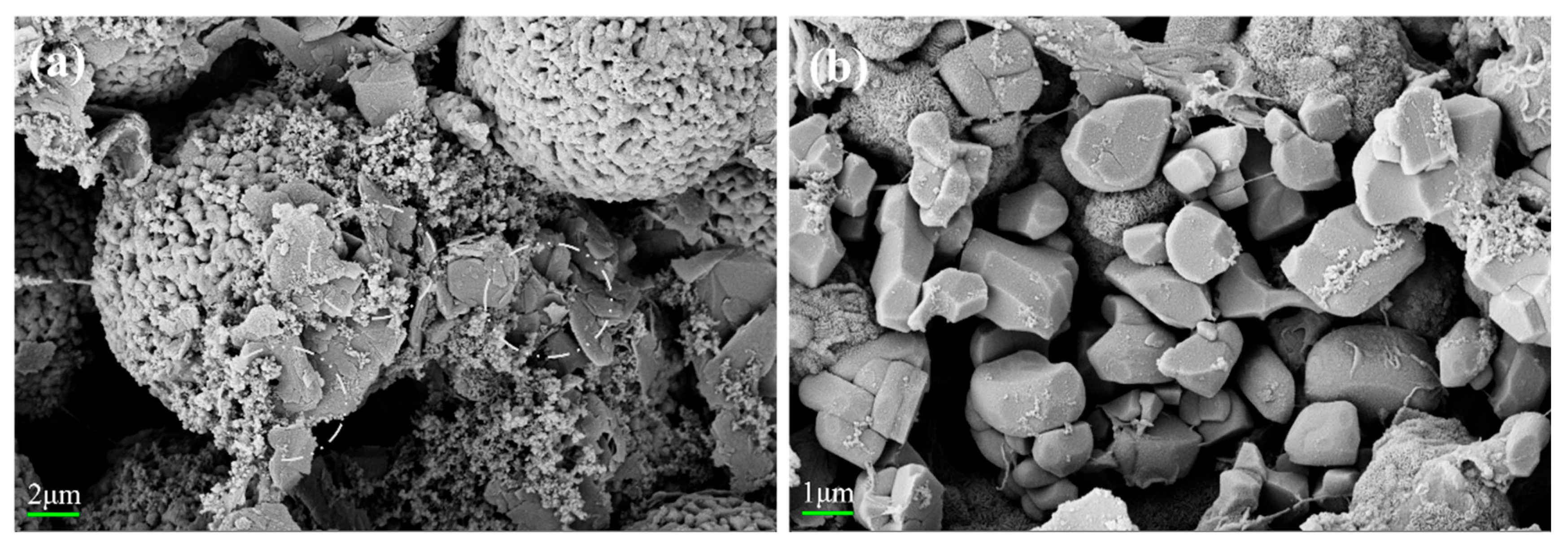 Materials 18 01320 g009