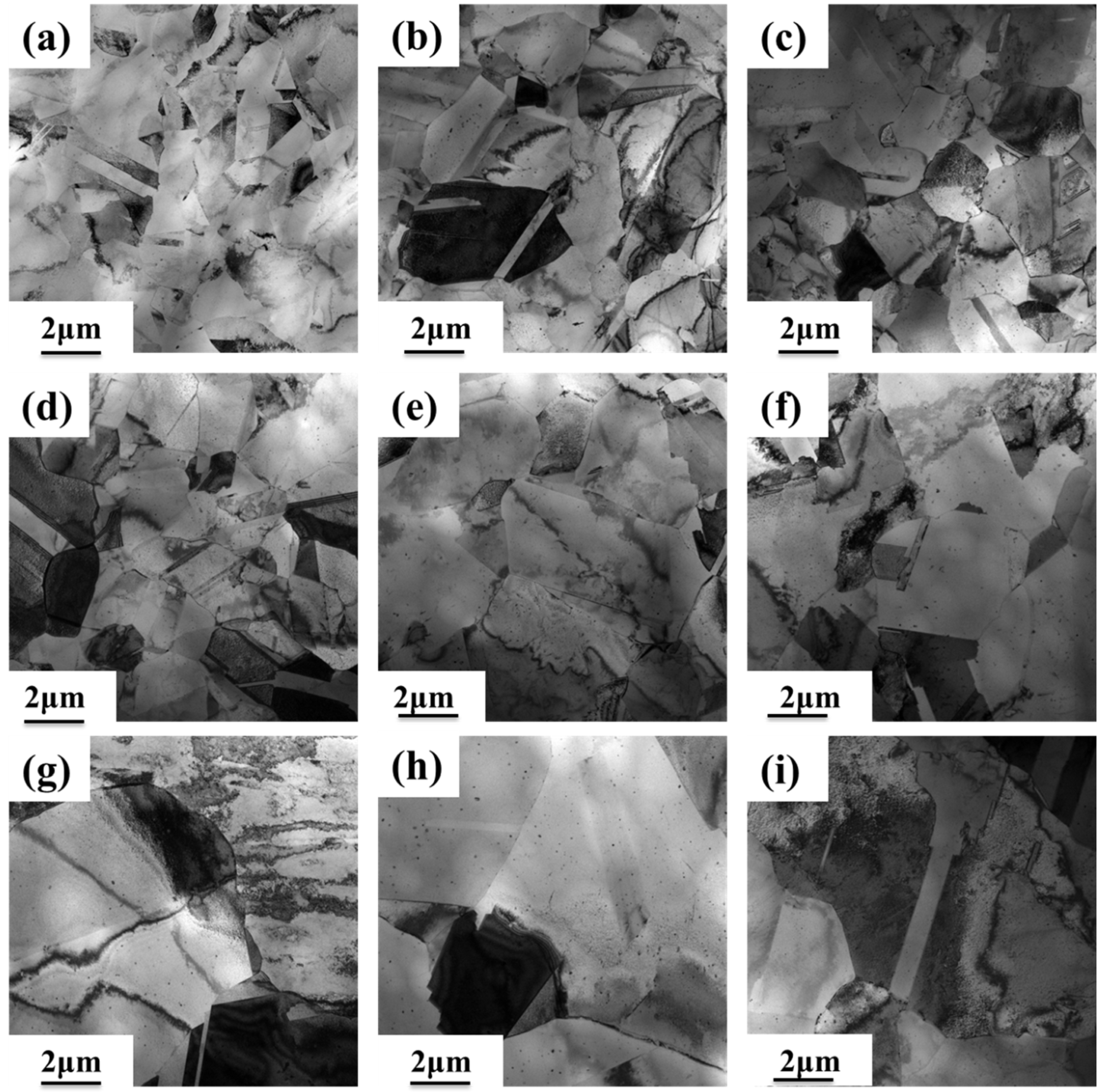 Materials 18 01325 g009