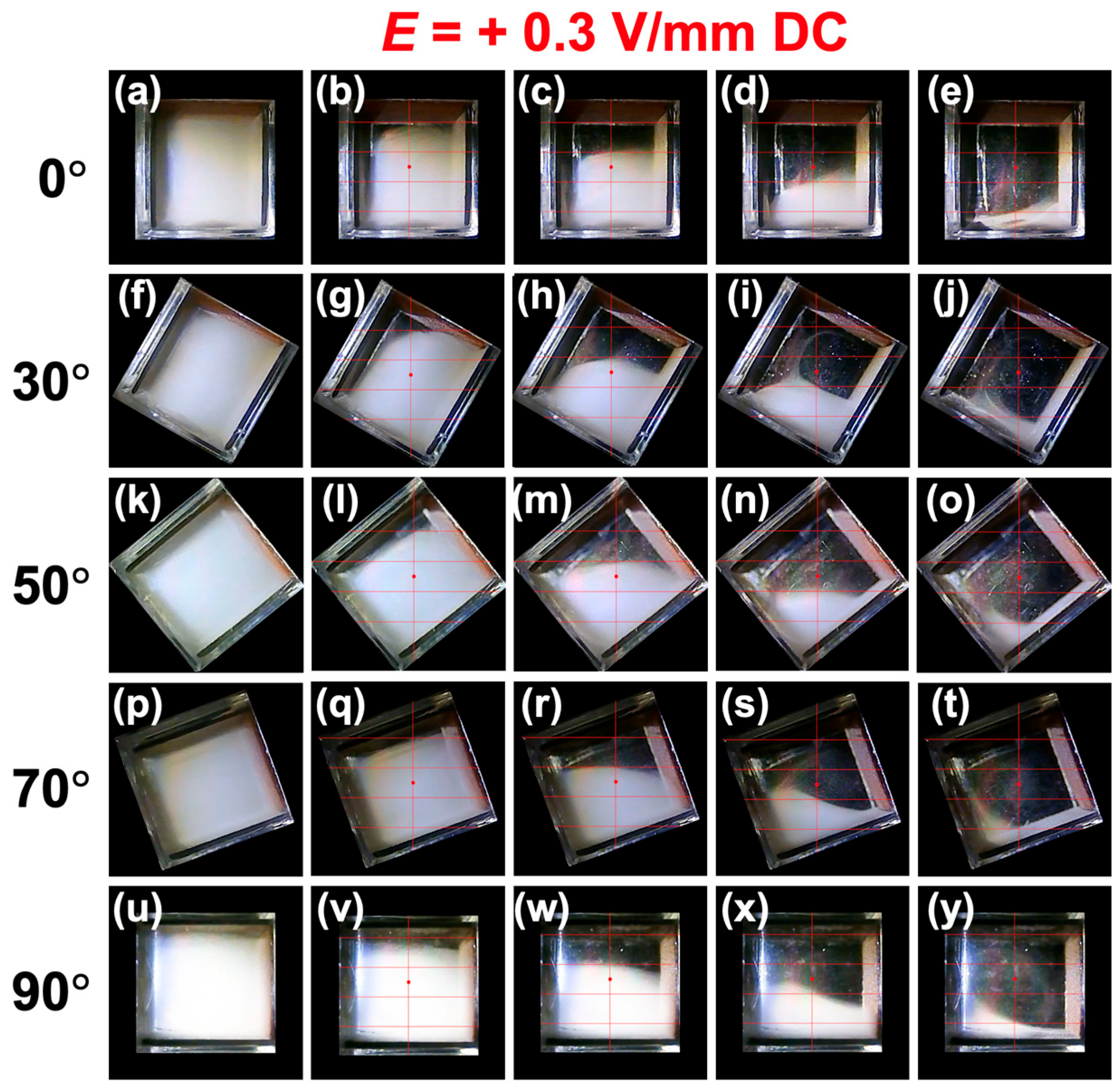 Materials 18 01335 g005