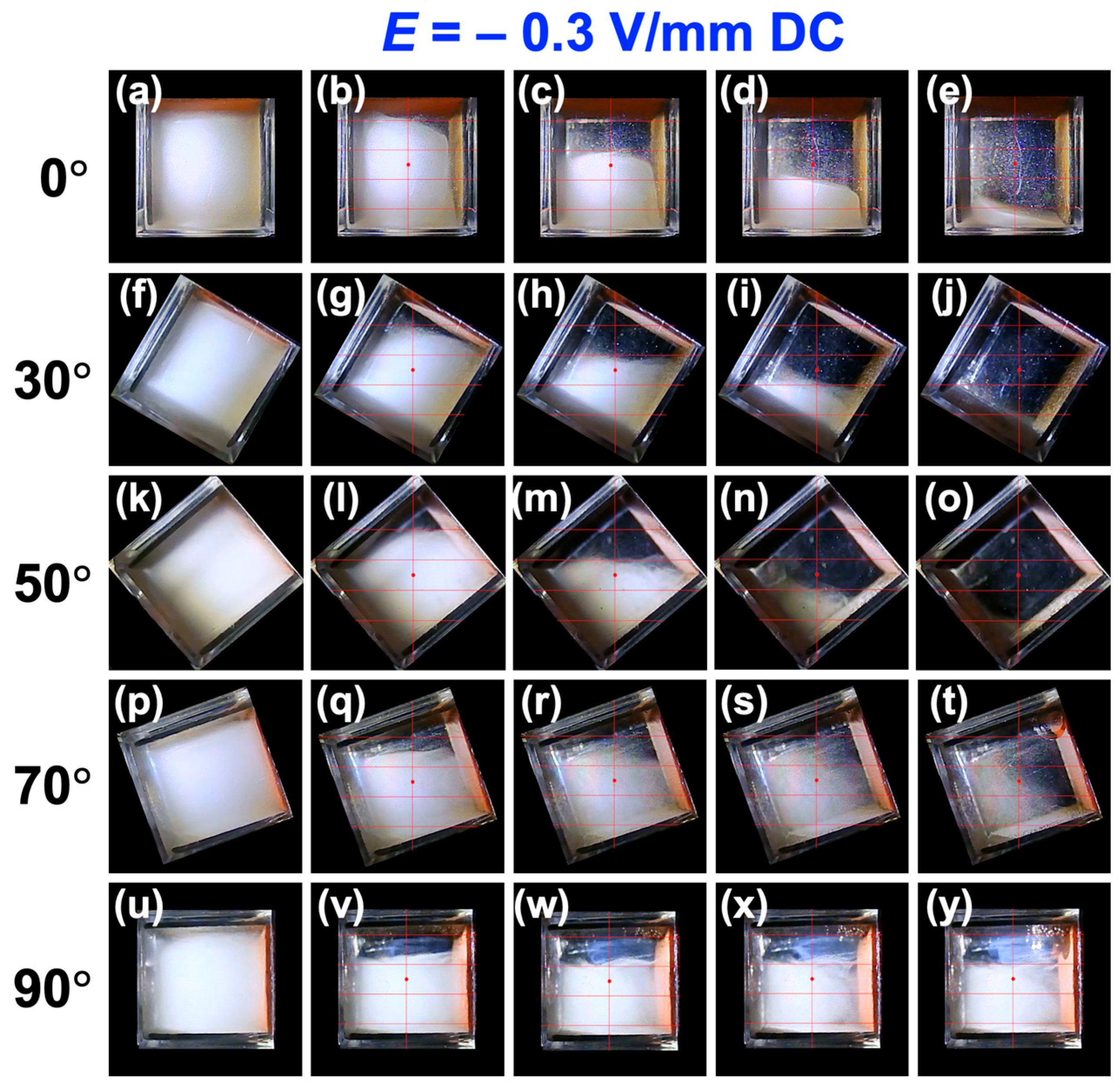Materials 18 01335 g007