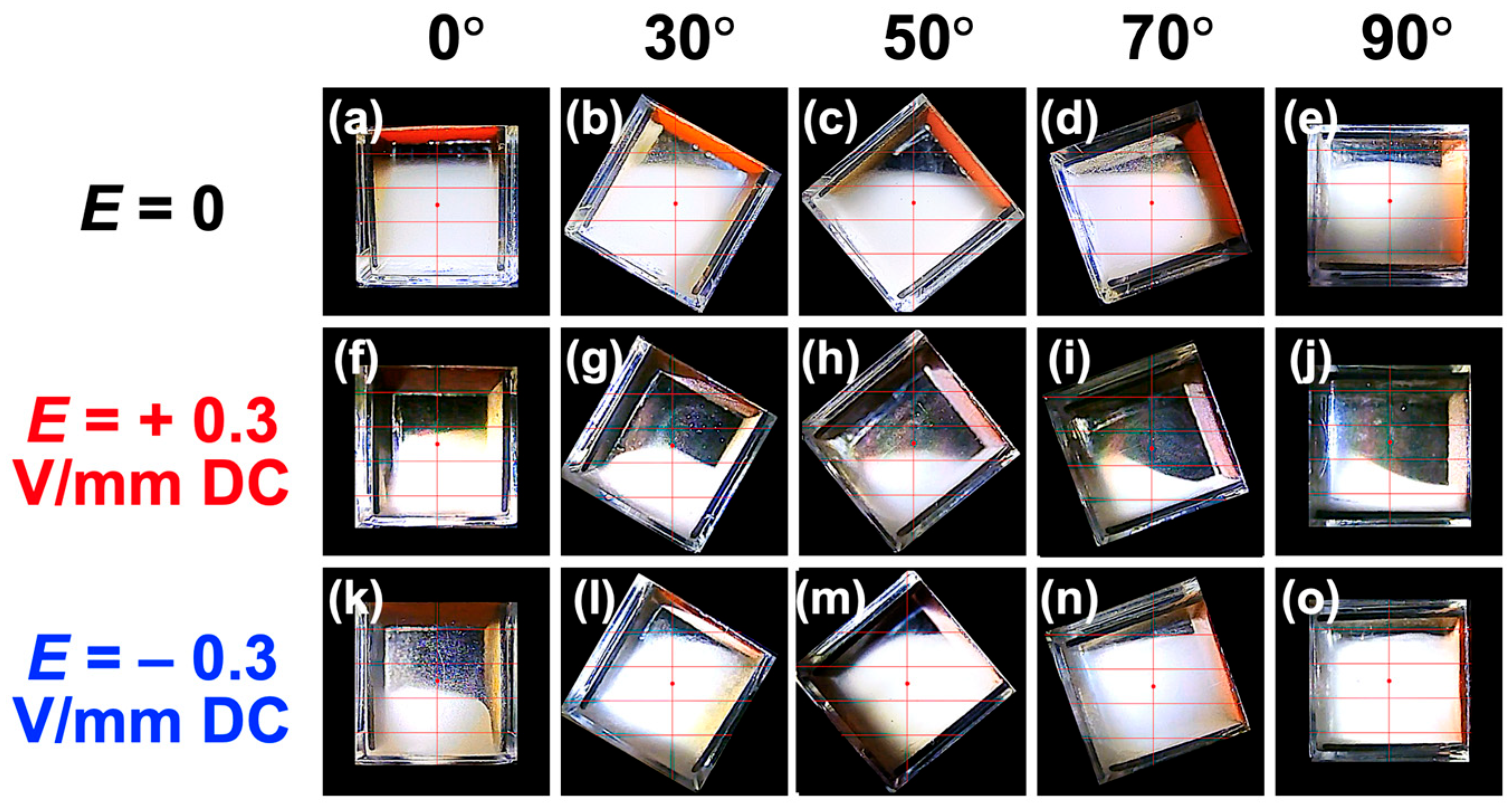 Materials 18 01335 g008