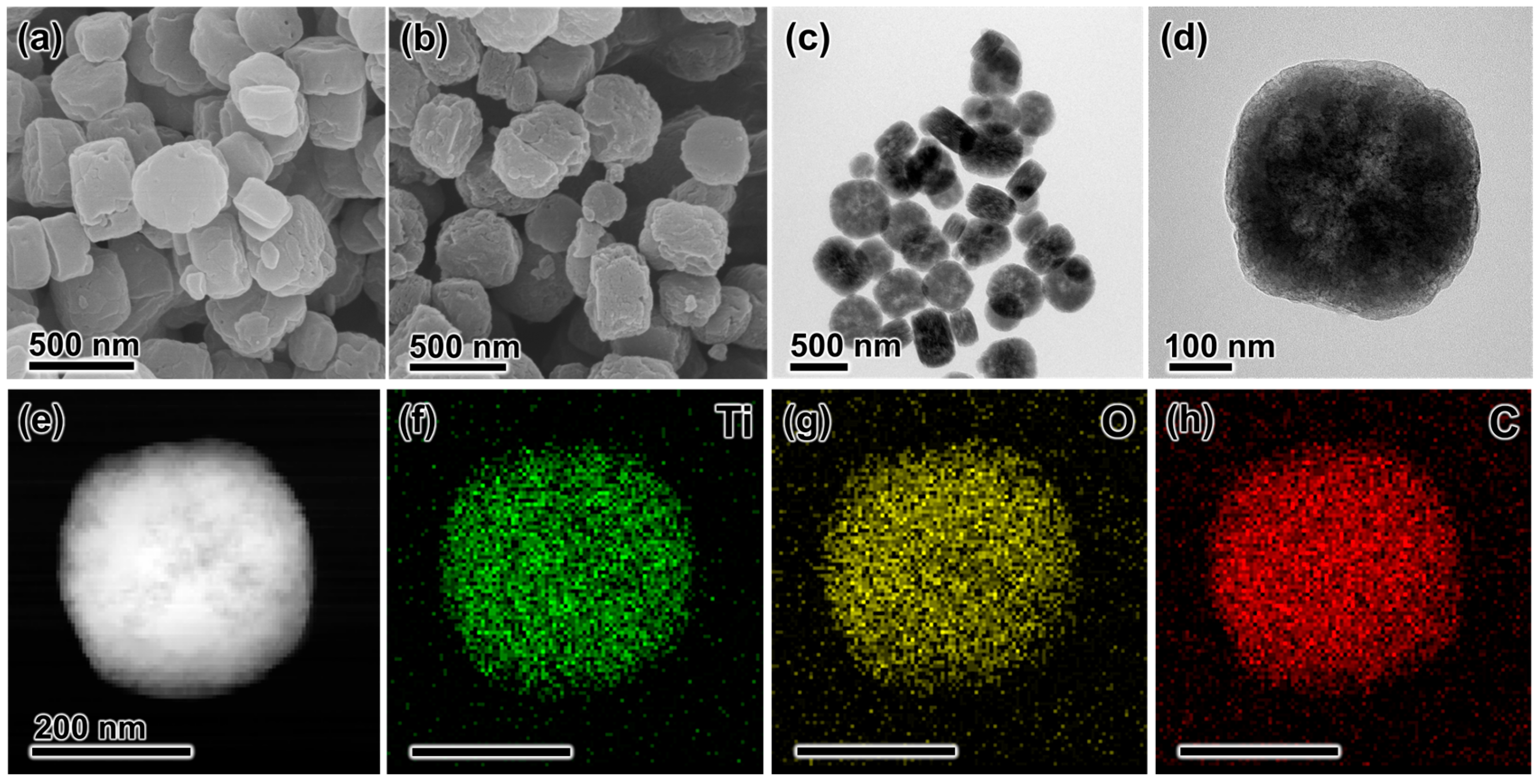 Materials 18 01343 g001