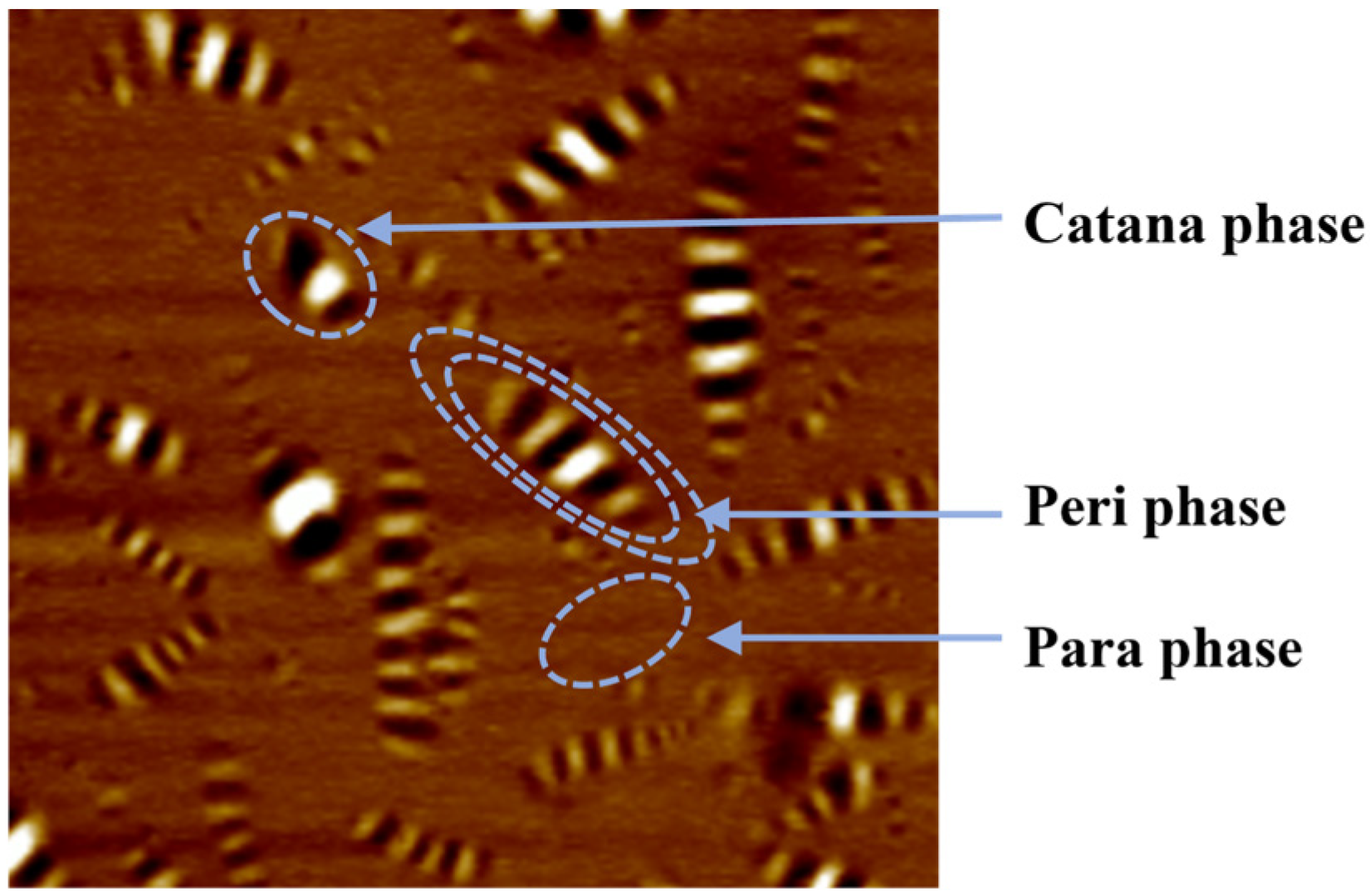 Materials 18 01348 g017