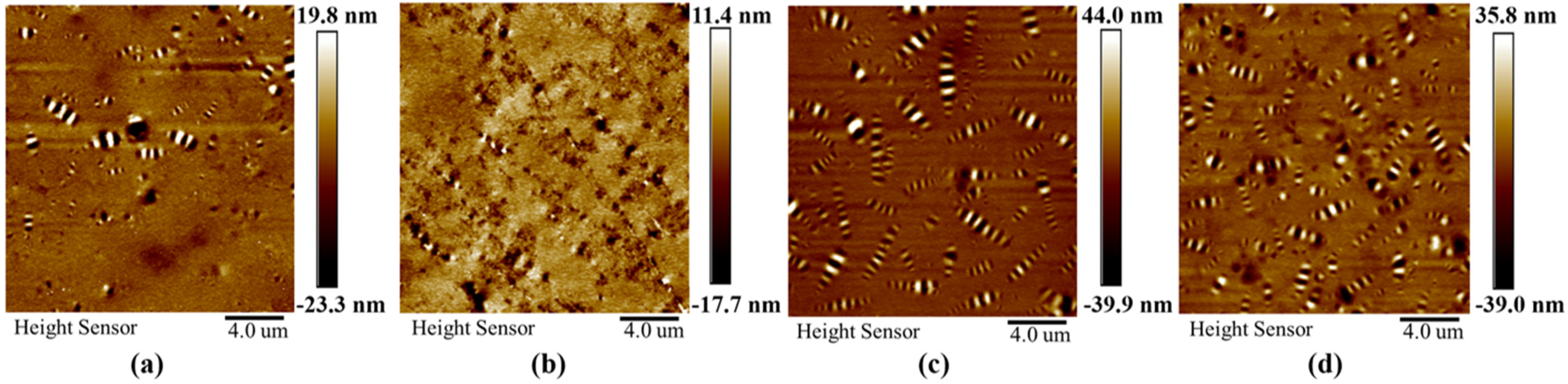 Materials 18 01348 g018