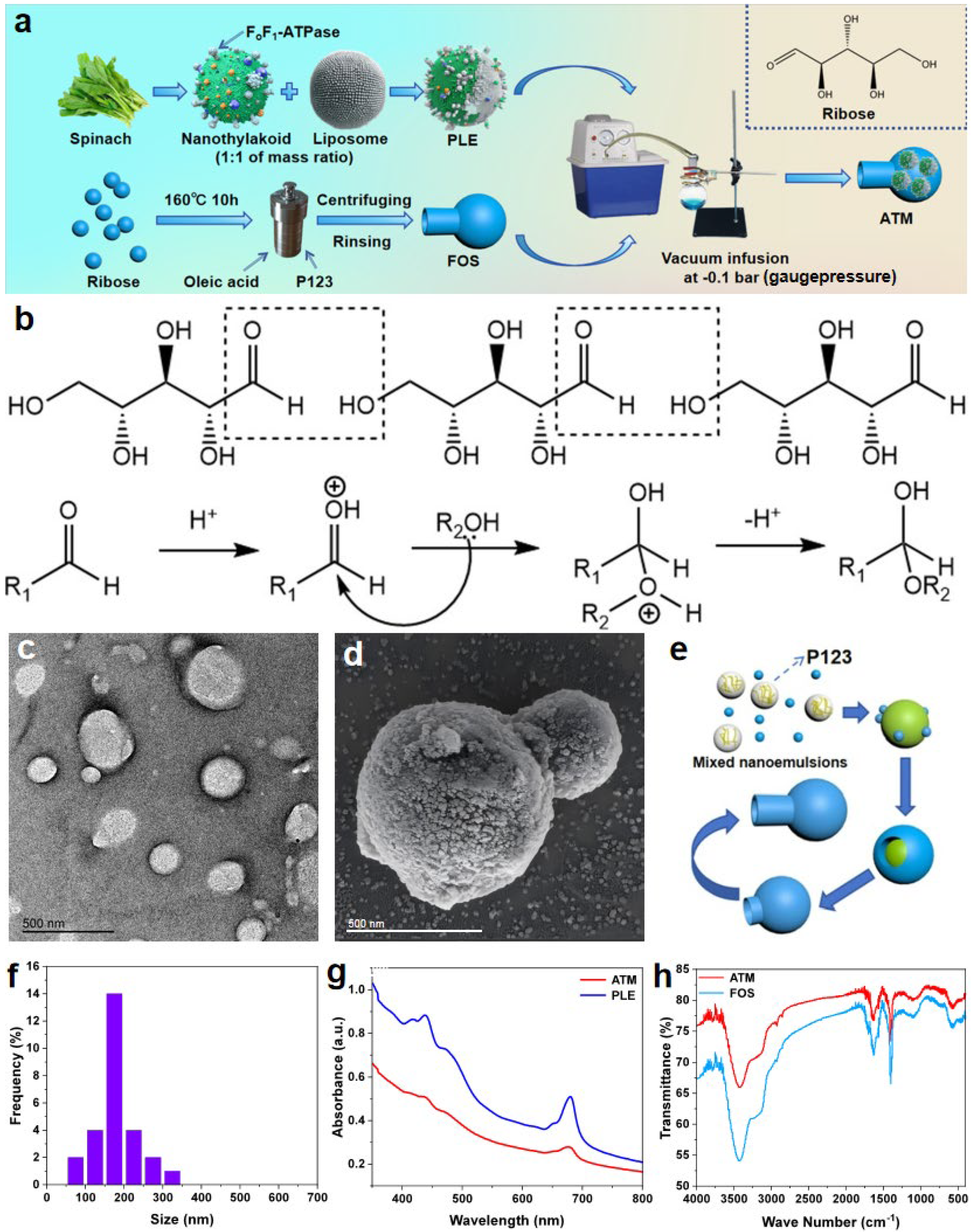 Materials 18 01351 g001