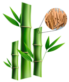 Materials 18 01377 i004