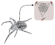 Materials 18 01377 i010