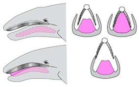 Materials 18 01377 i022