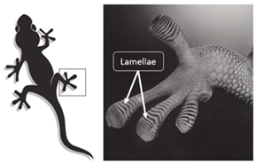 Materials 18 01377 i025