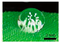 Materials 18 01377 i032