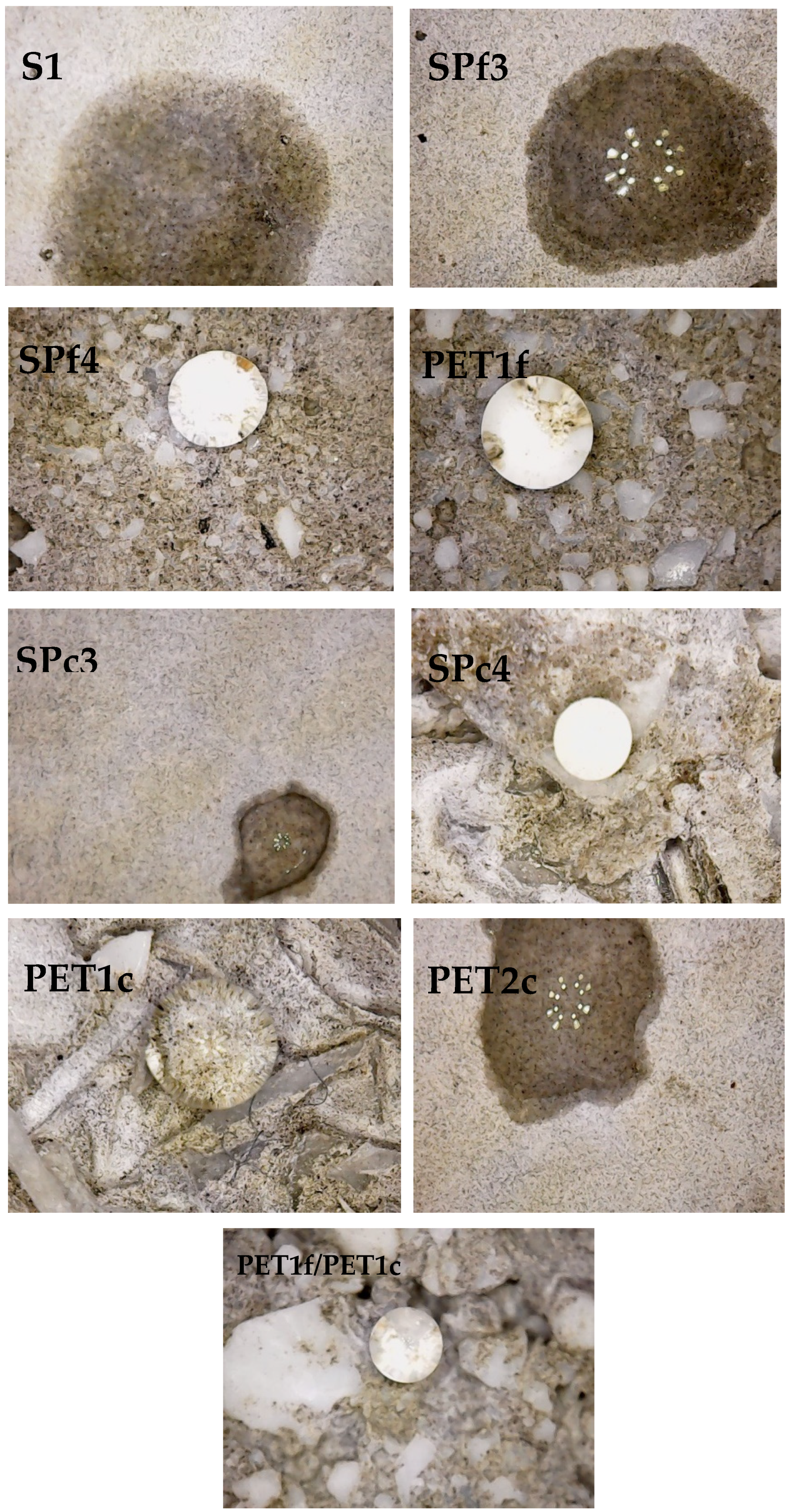 Materials 18 01378 g012