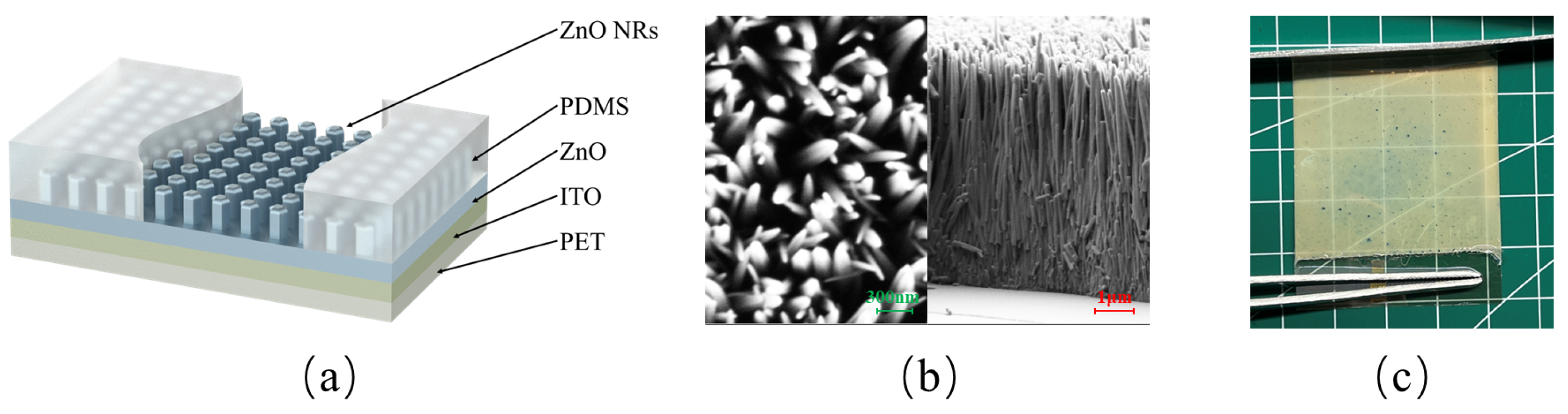 Materials 18 01392 g002