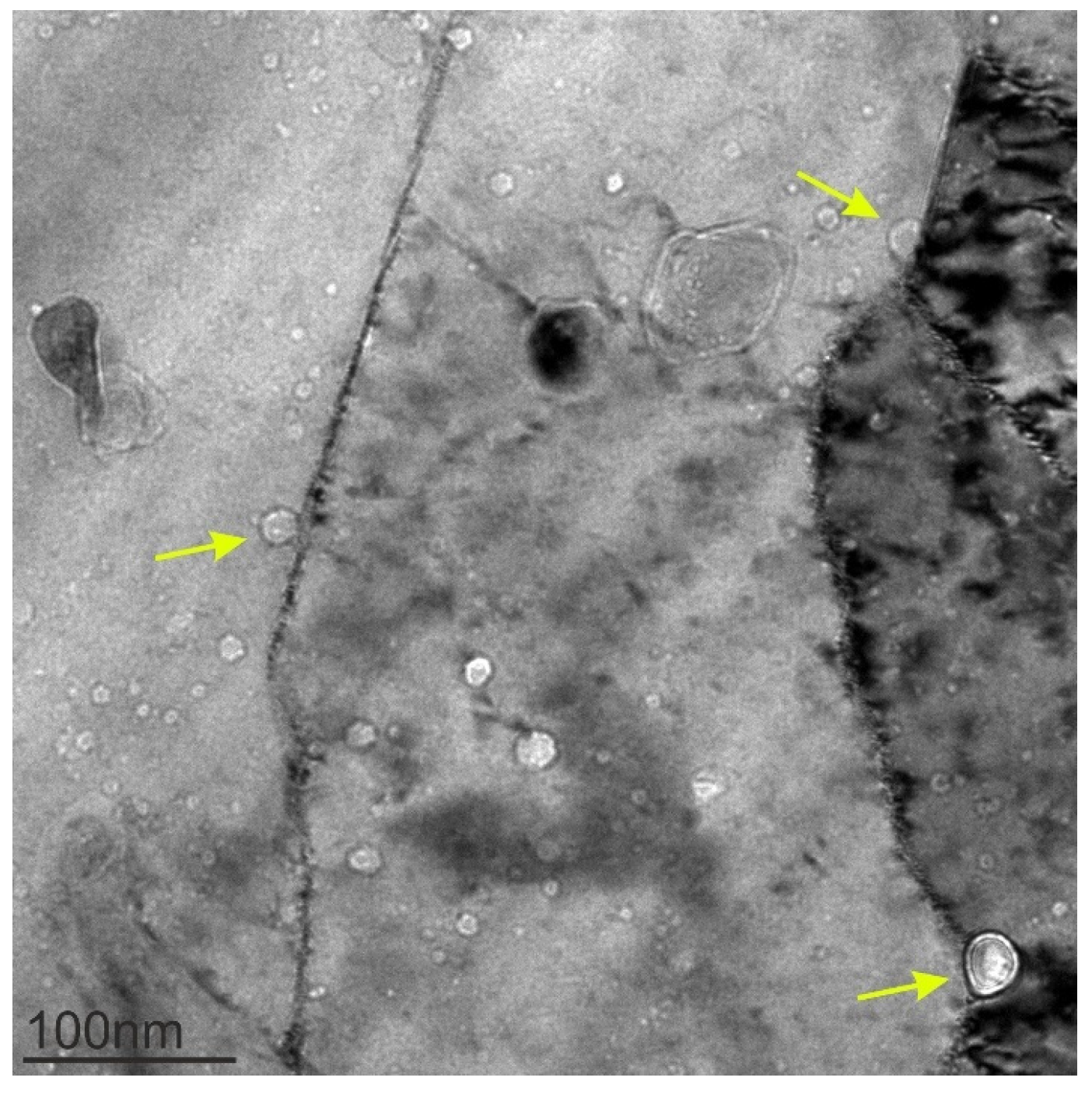 Materials 18 01401 g003