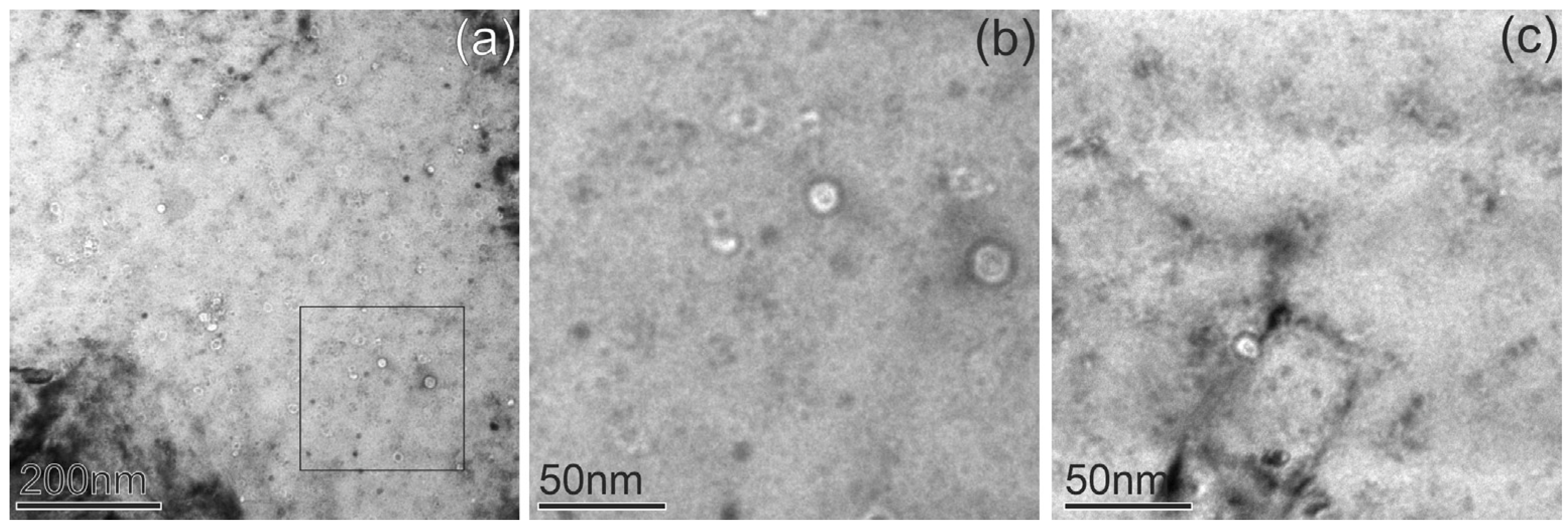 Materials 18 01401 g004