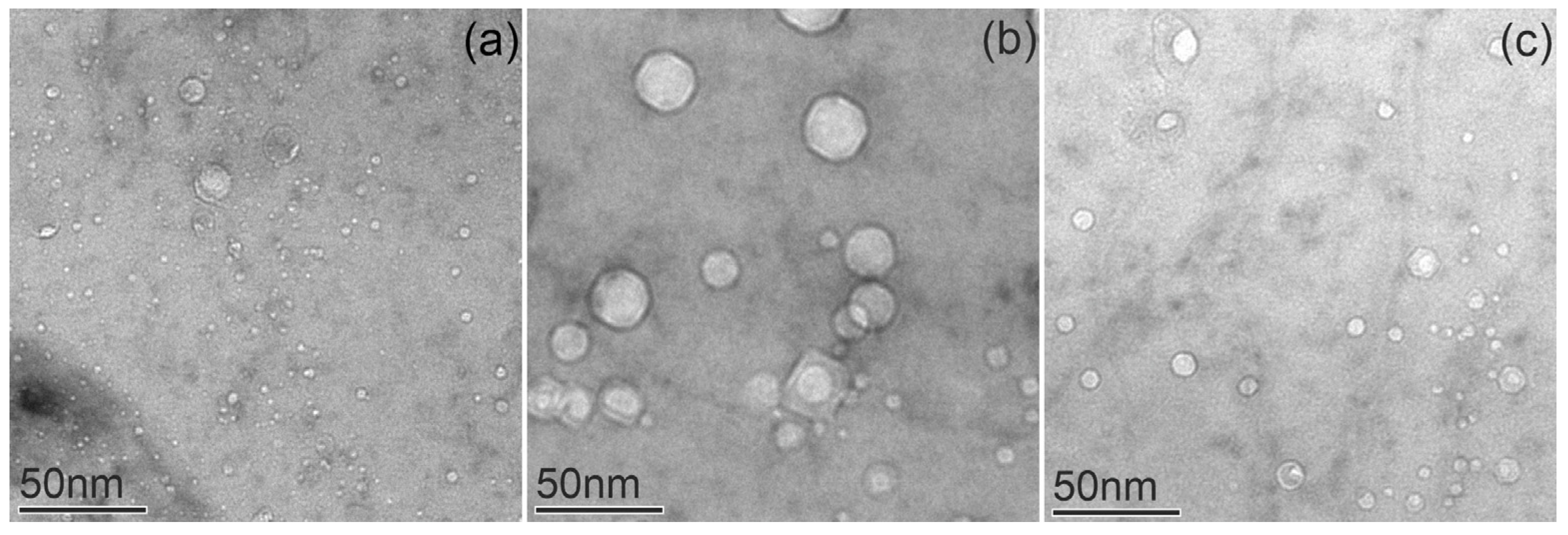 Materials 18 01401 g011