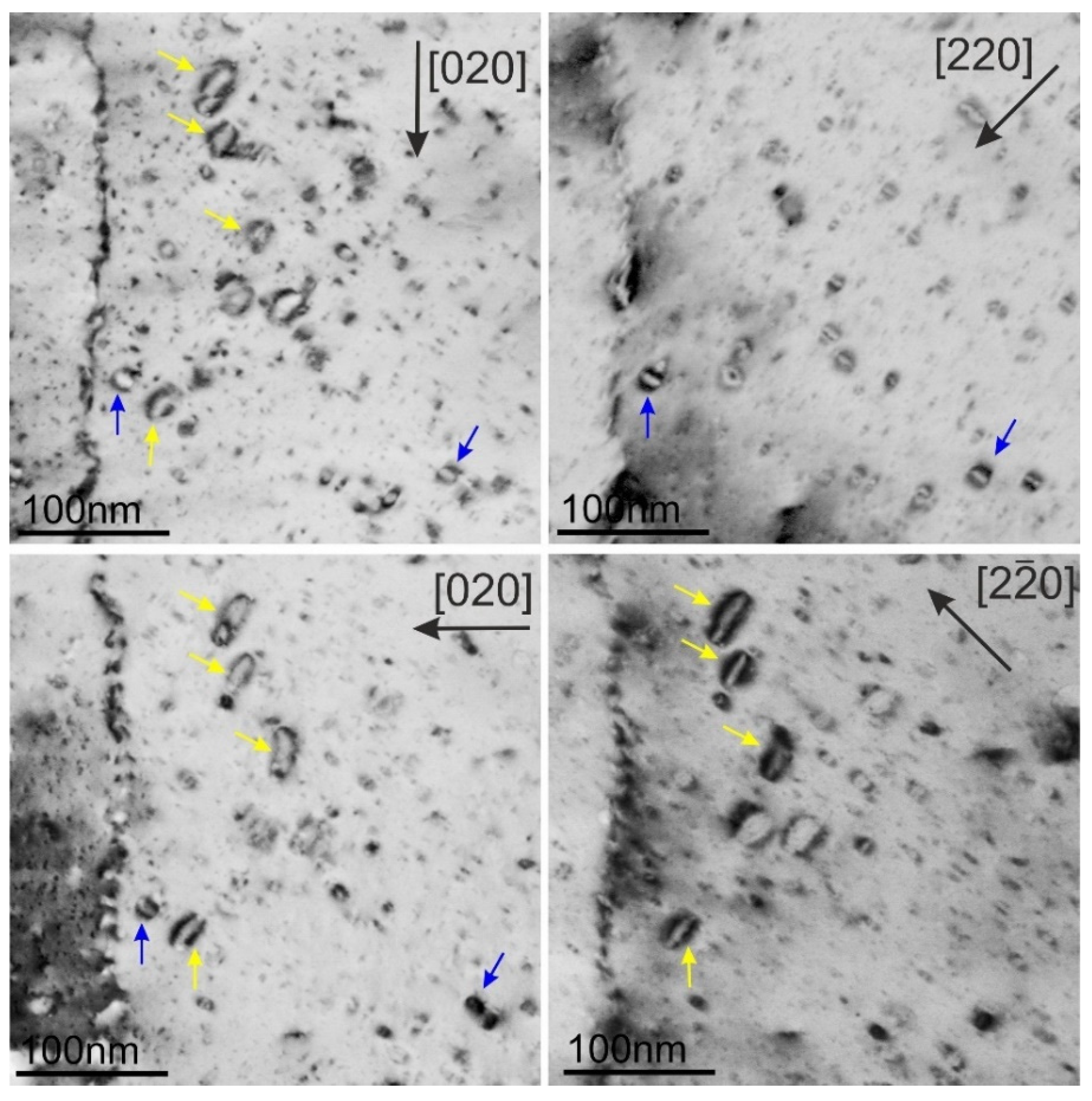 Materials 18 01401 g013