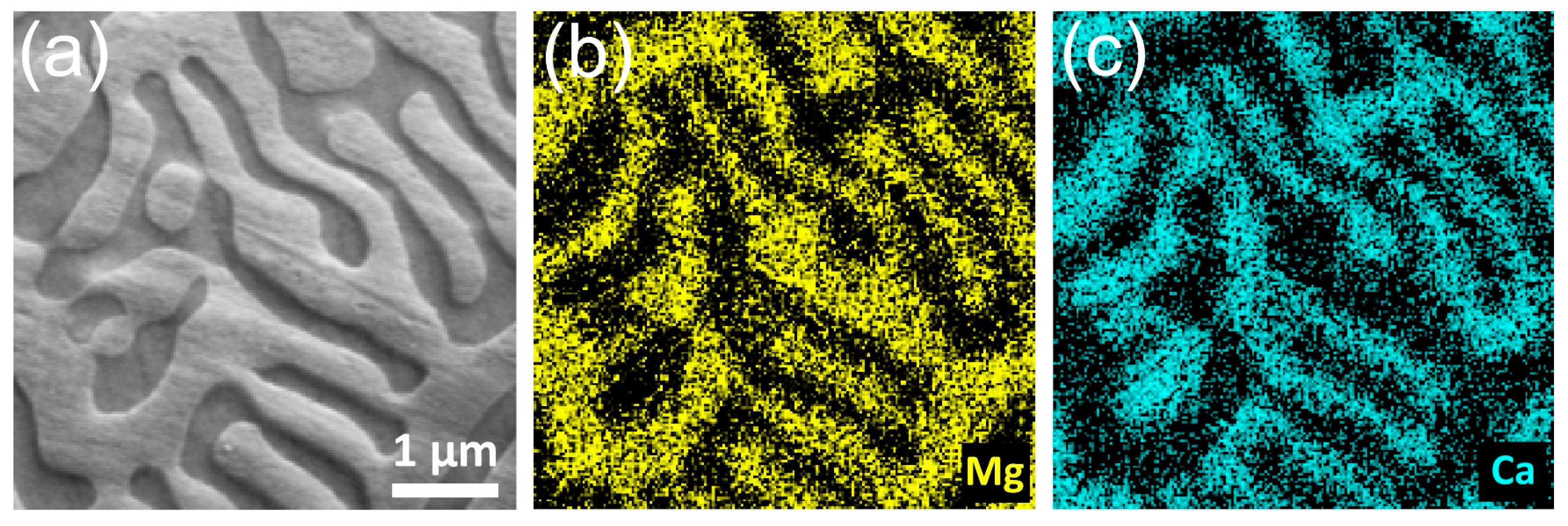 Materials 18 01416 g002