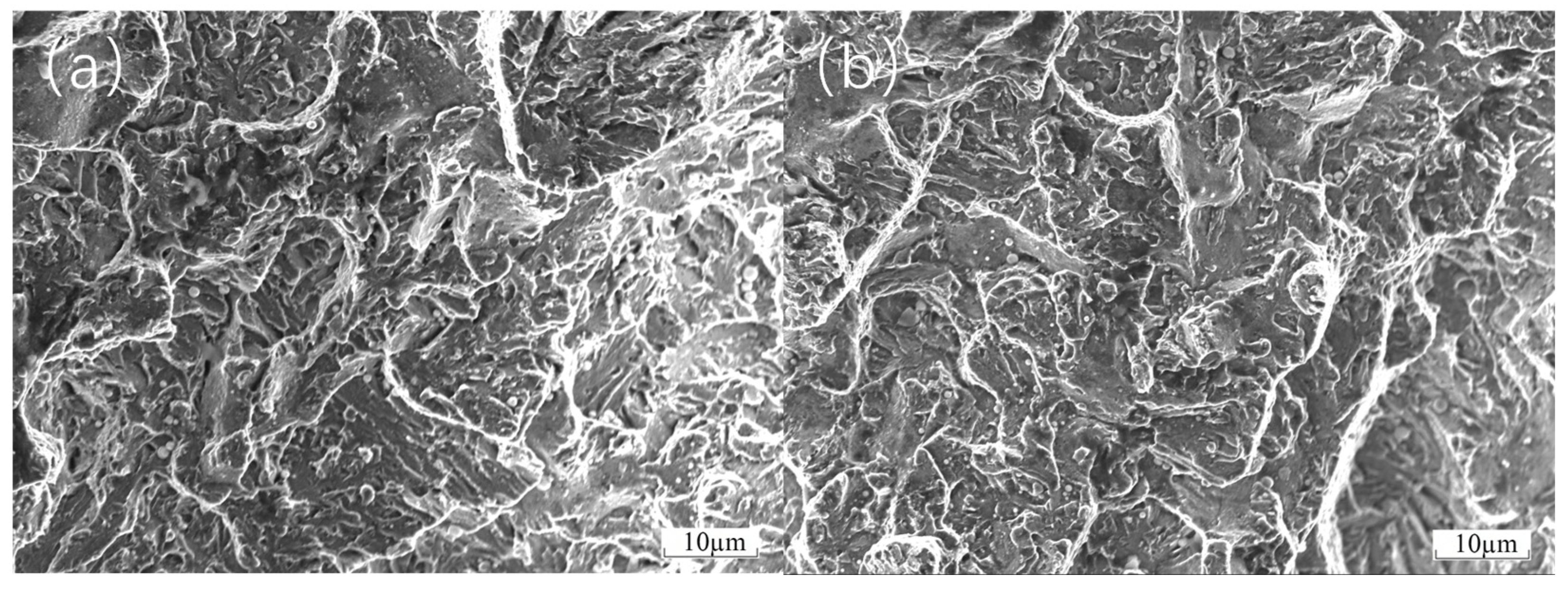 Materials 18 01418 g007