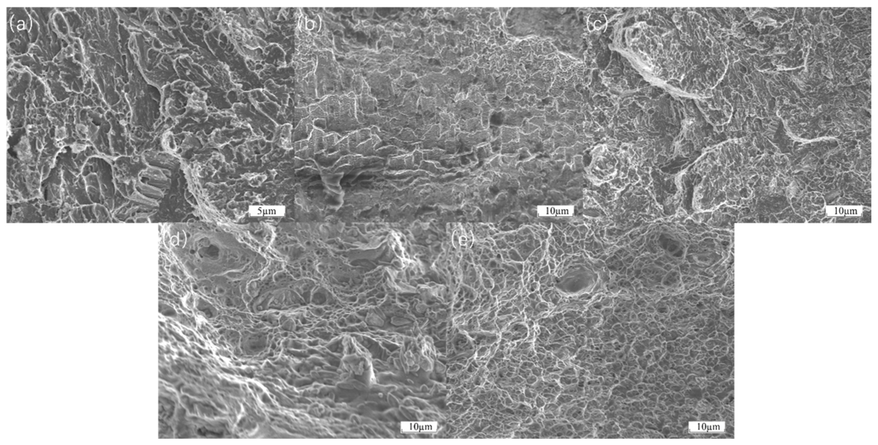 Materials 18 01418 g010