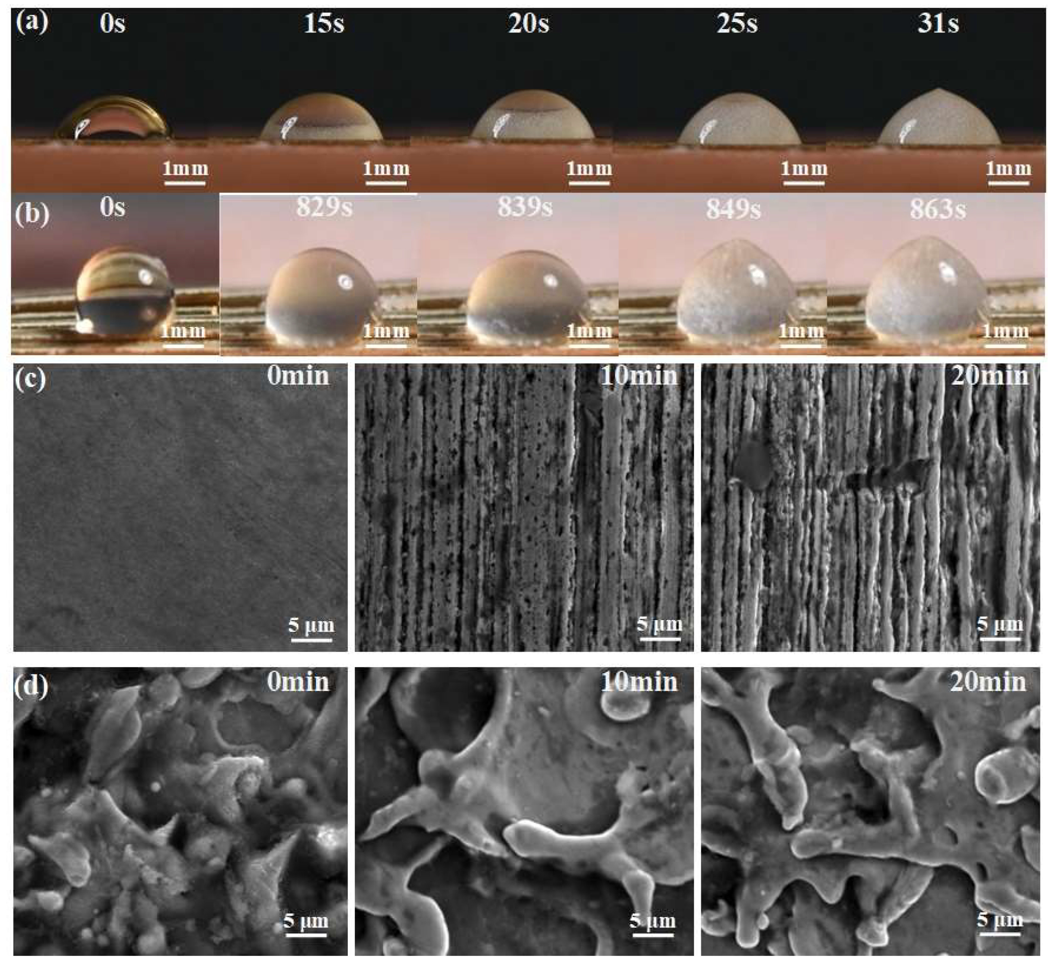 Materials 18 01420 g008