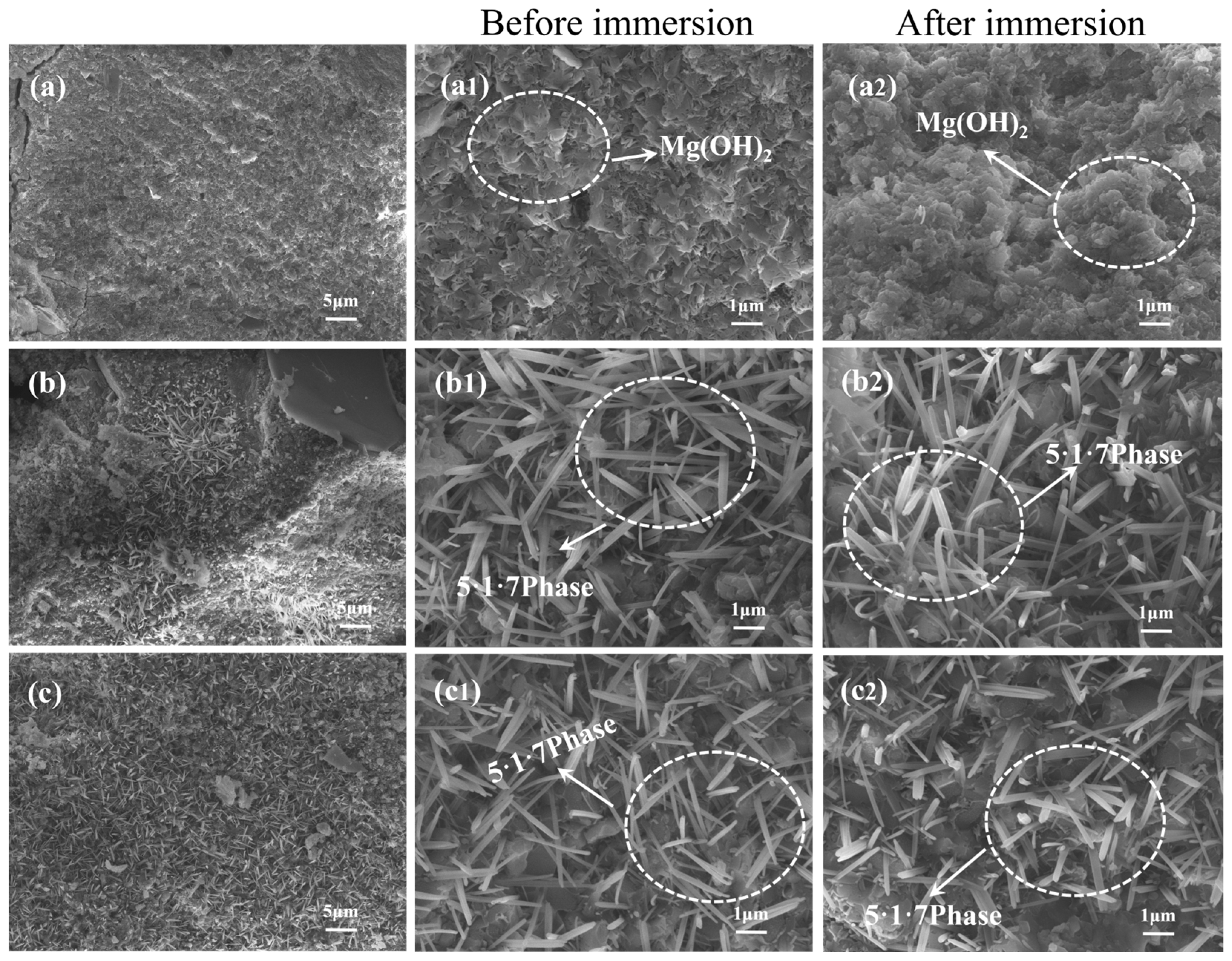 Materials 18 01432 g011