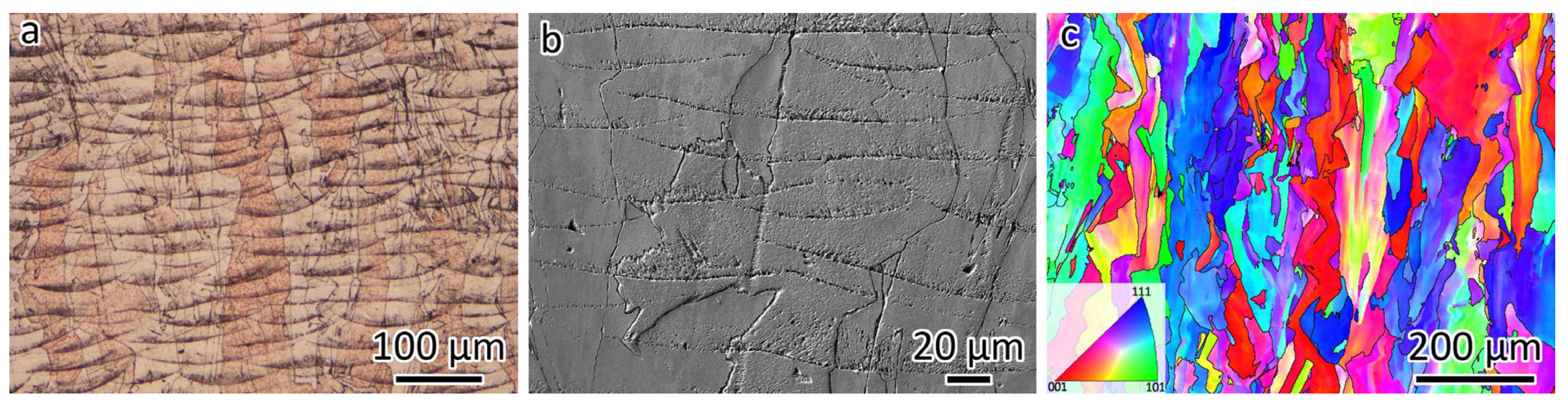 Materials 18 01434 g003