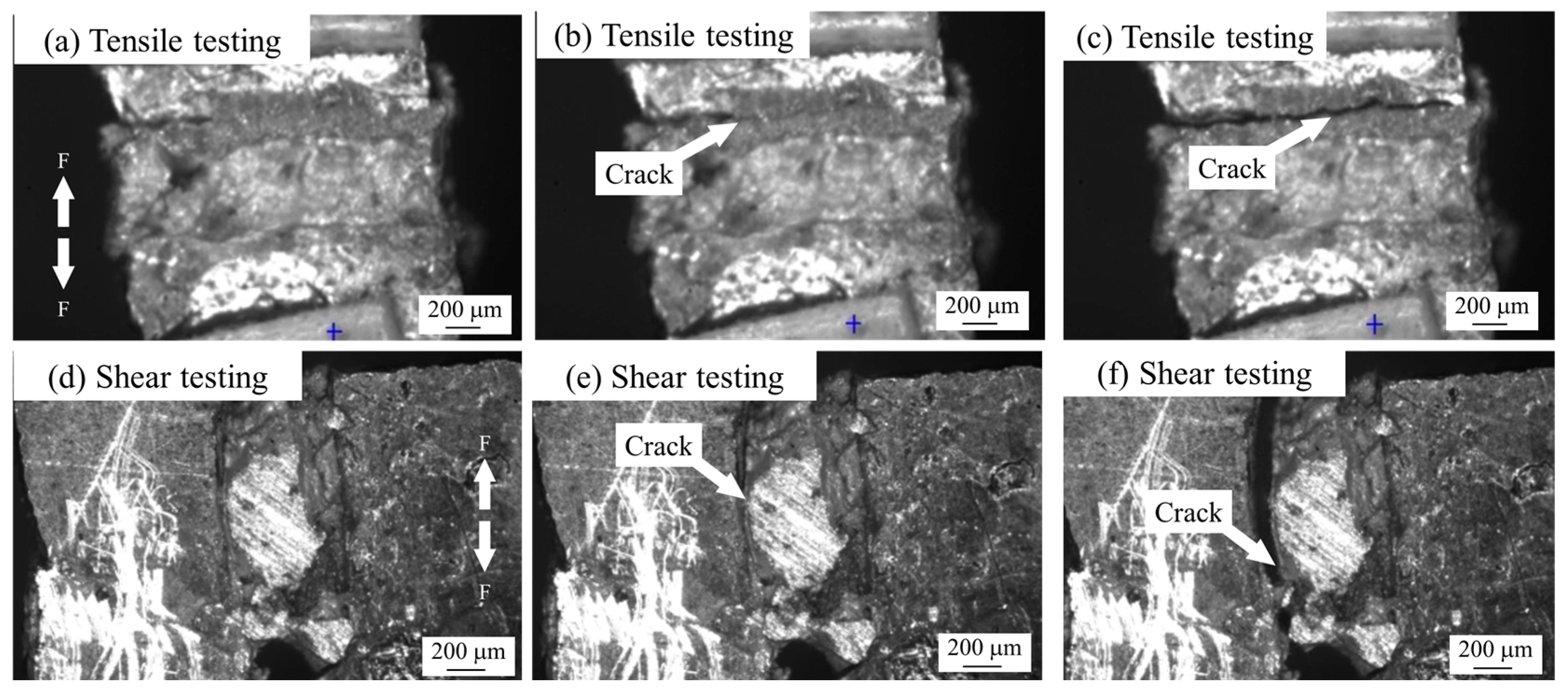 Materials 18 01435 g006