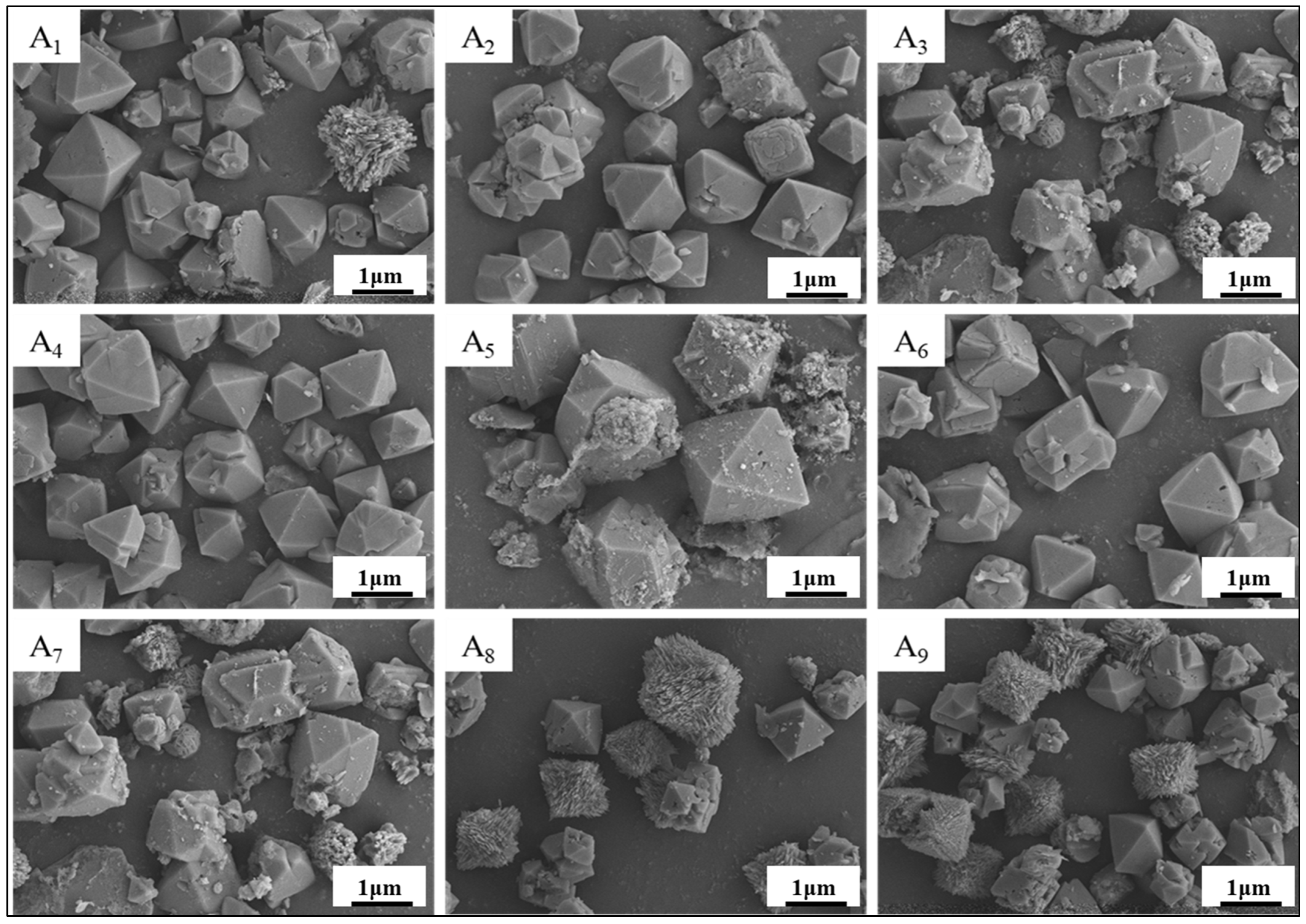 Materials 18 01443 g005