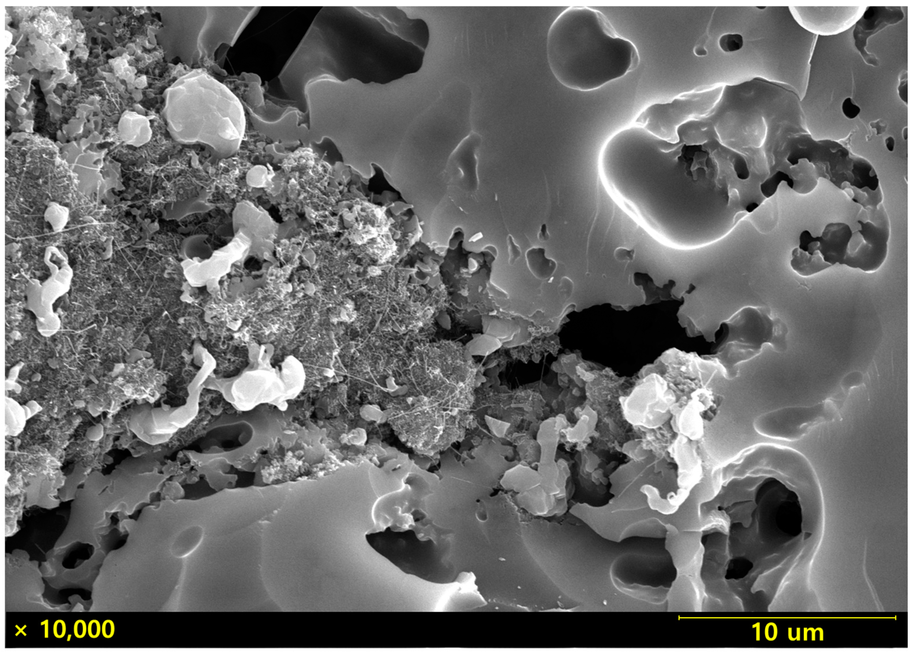 Materials 18 01454 g002