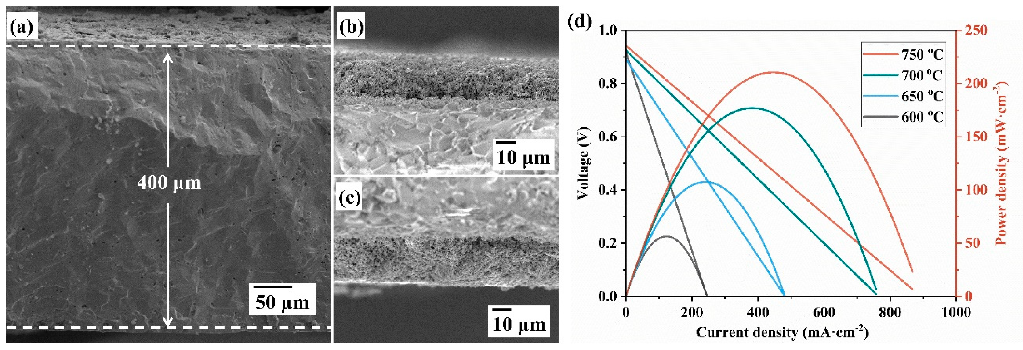 Materials 18 01460 g010