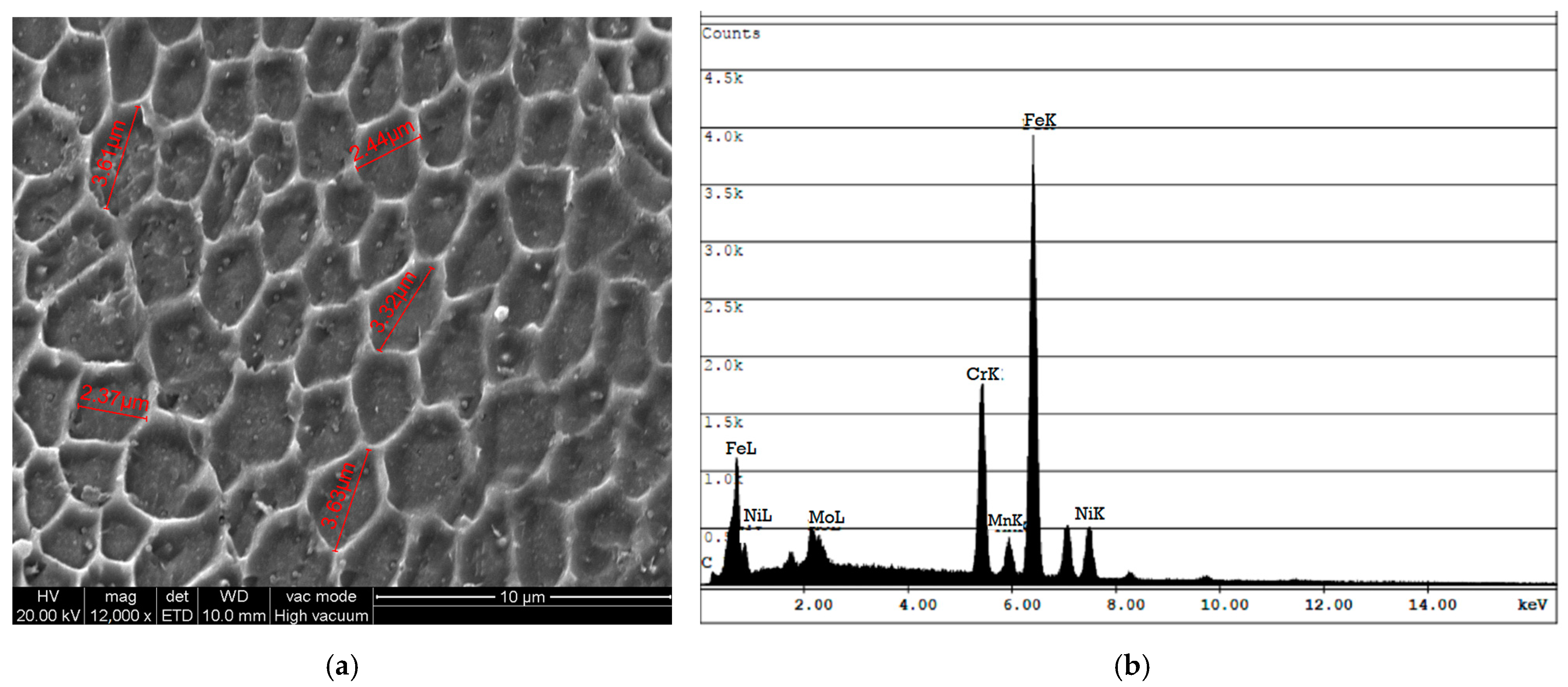 Materials 18 01462 g005