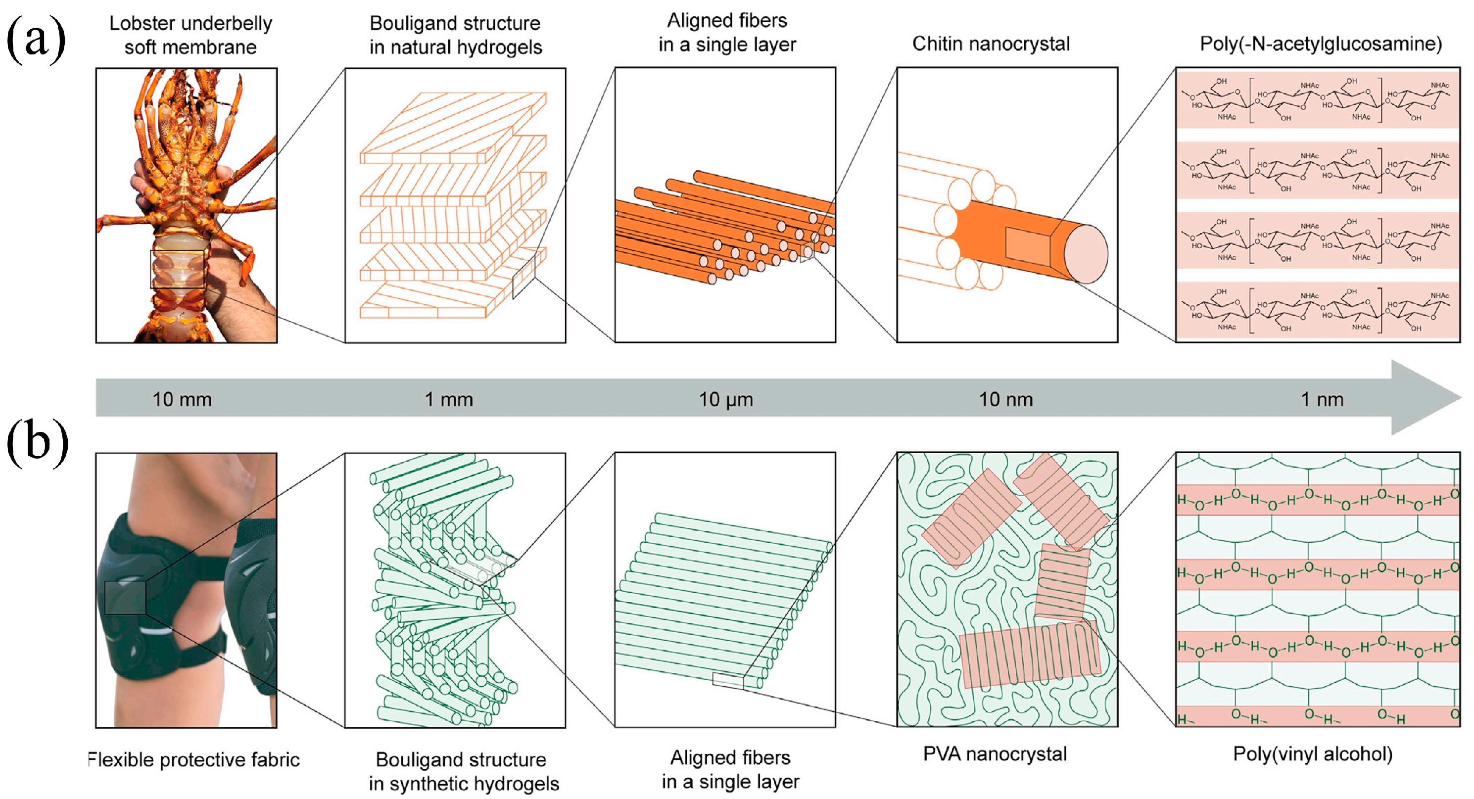 Materials 18 01479 g001