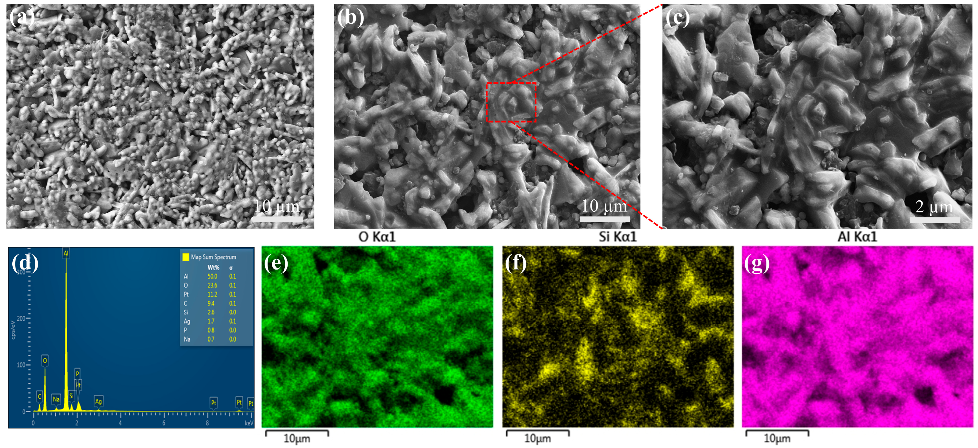 Materials 18 01479 g010