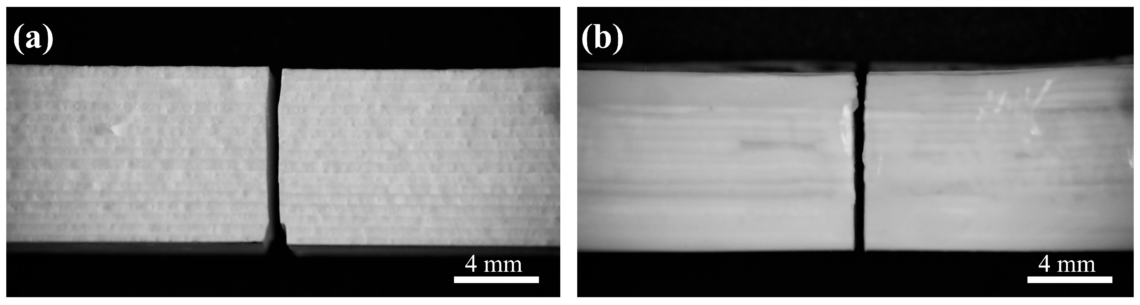 Materials 18 01479 g012