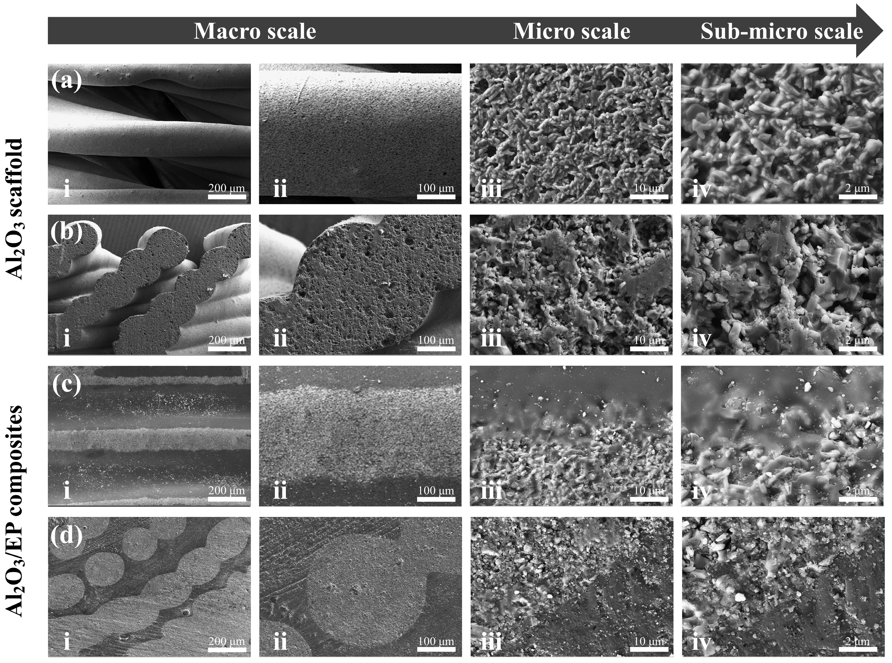 Materials 18 01479 g013