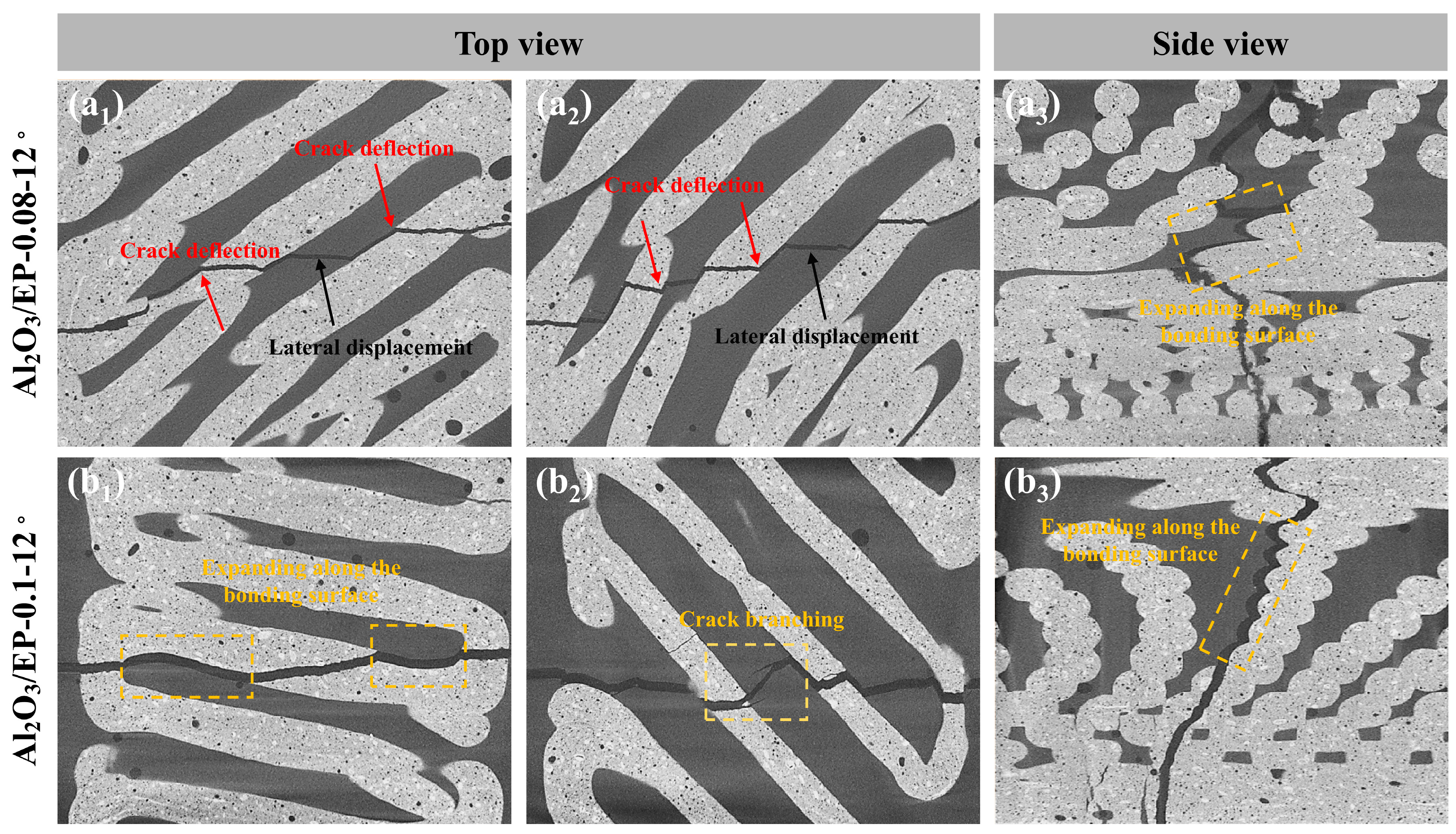Materials 18 01479 g014