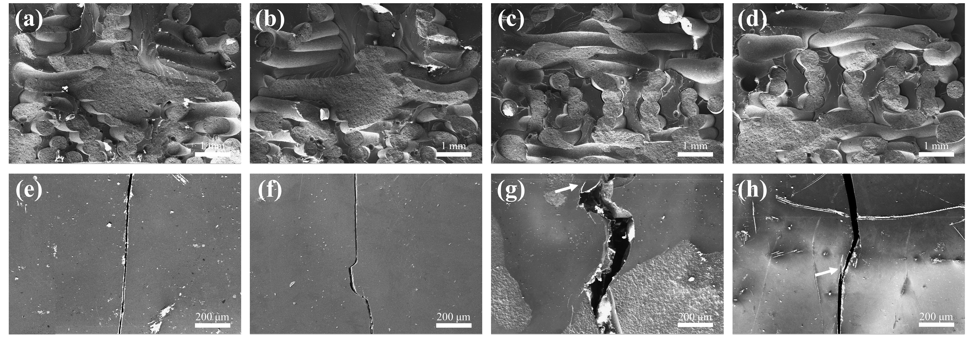 Materials 18 01479 g015