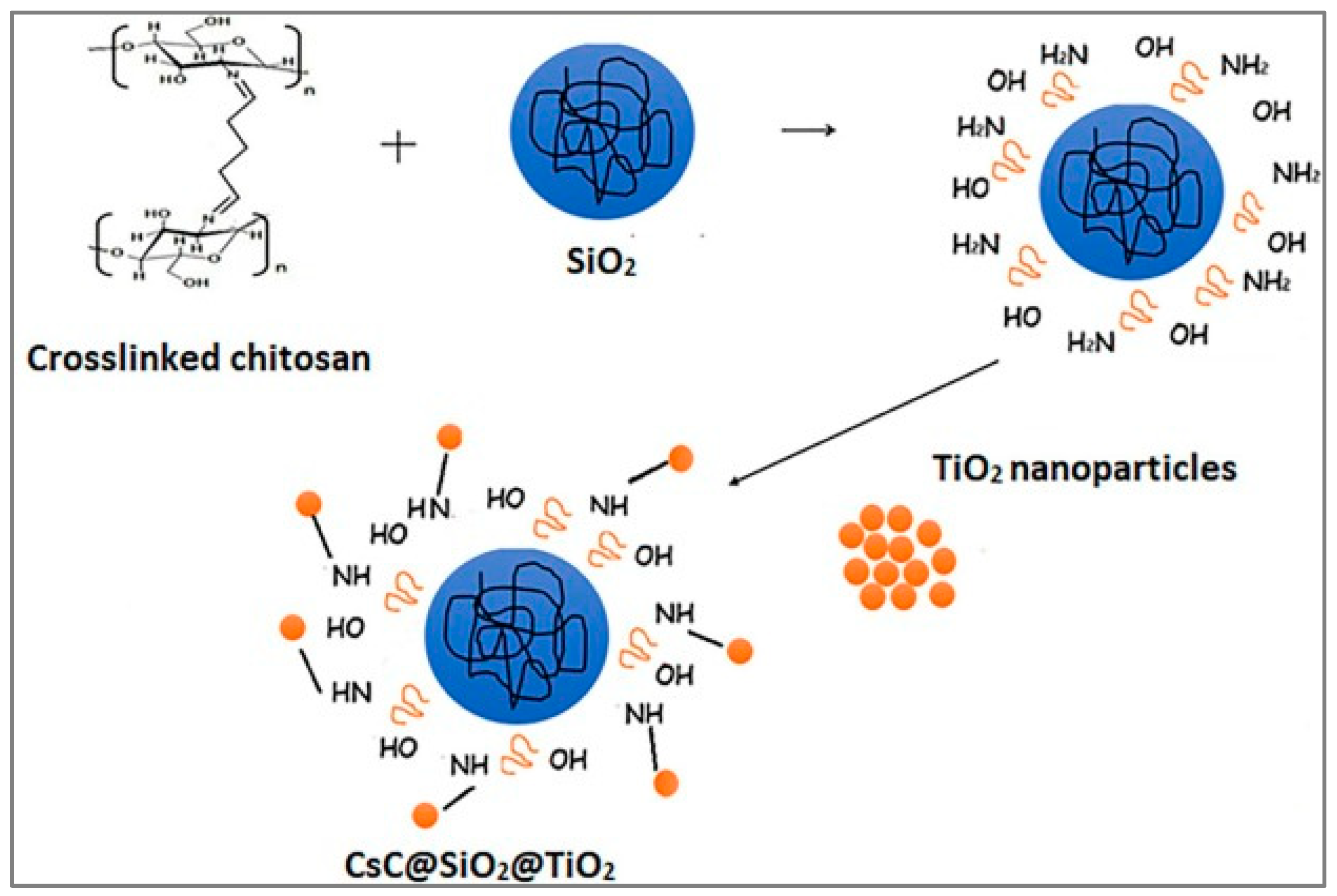 Materials 18 01485 g006