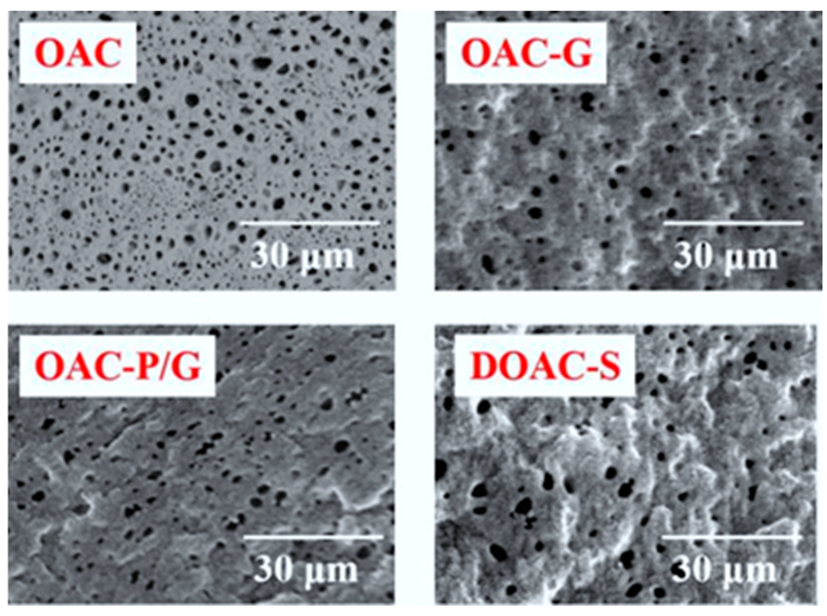 Materials 18 01486 g002