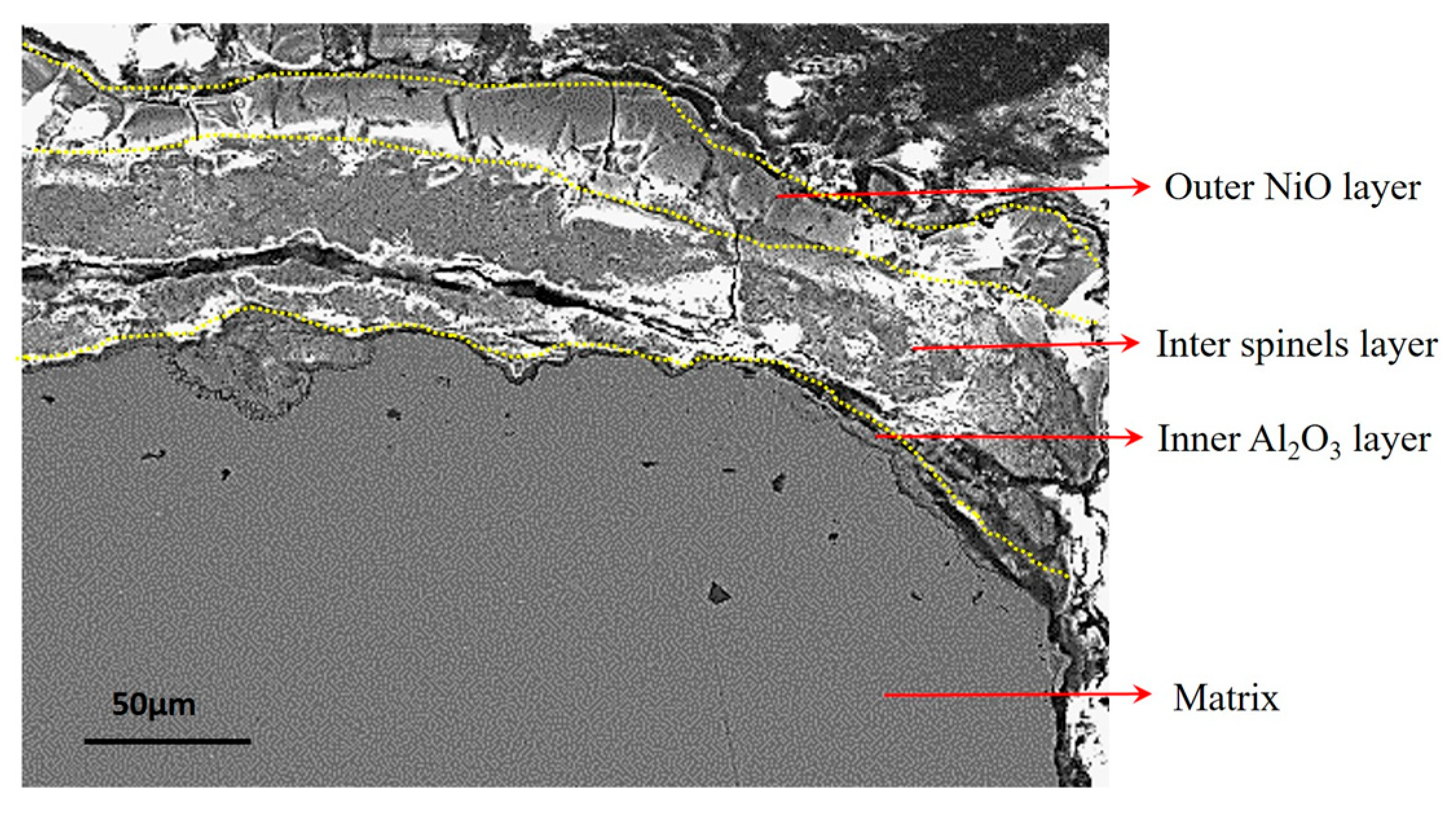 Materials 18 01498 g007