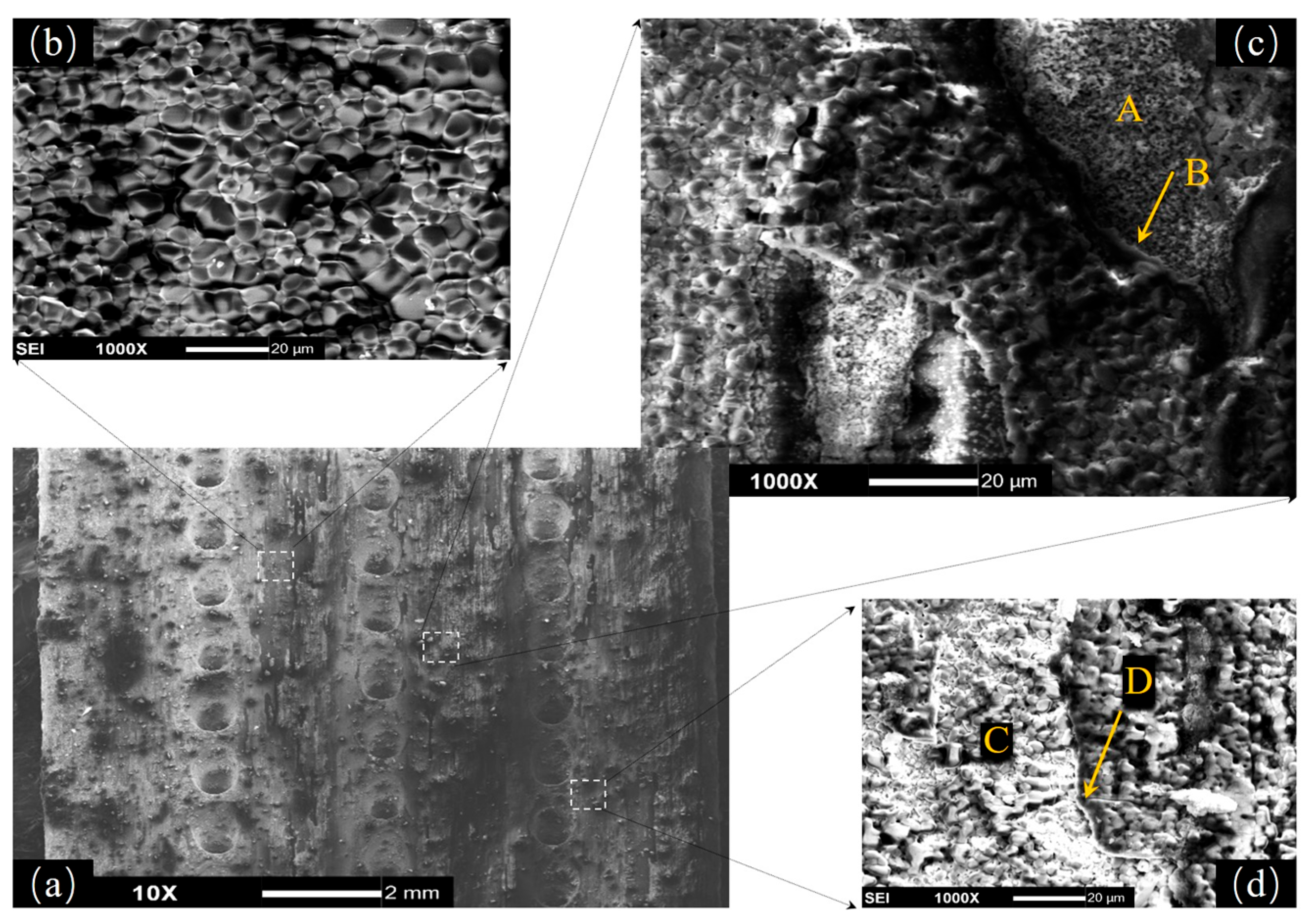 Materials 18 01498 g008