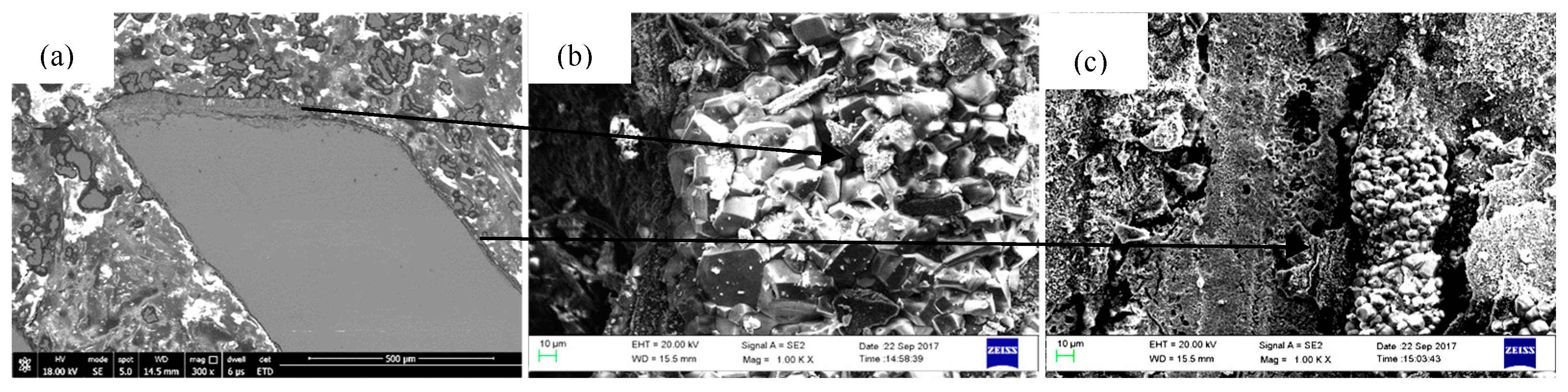 Materials 18 01498 g009